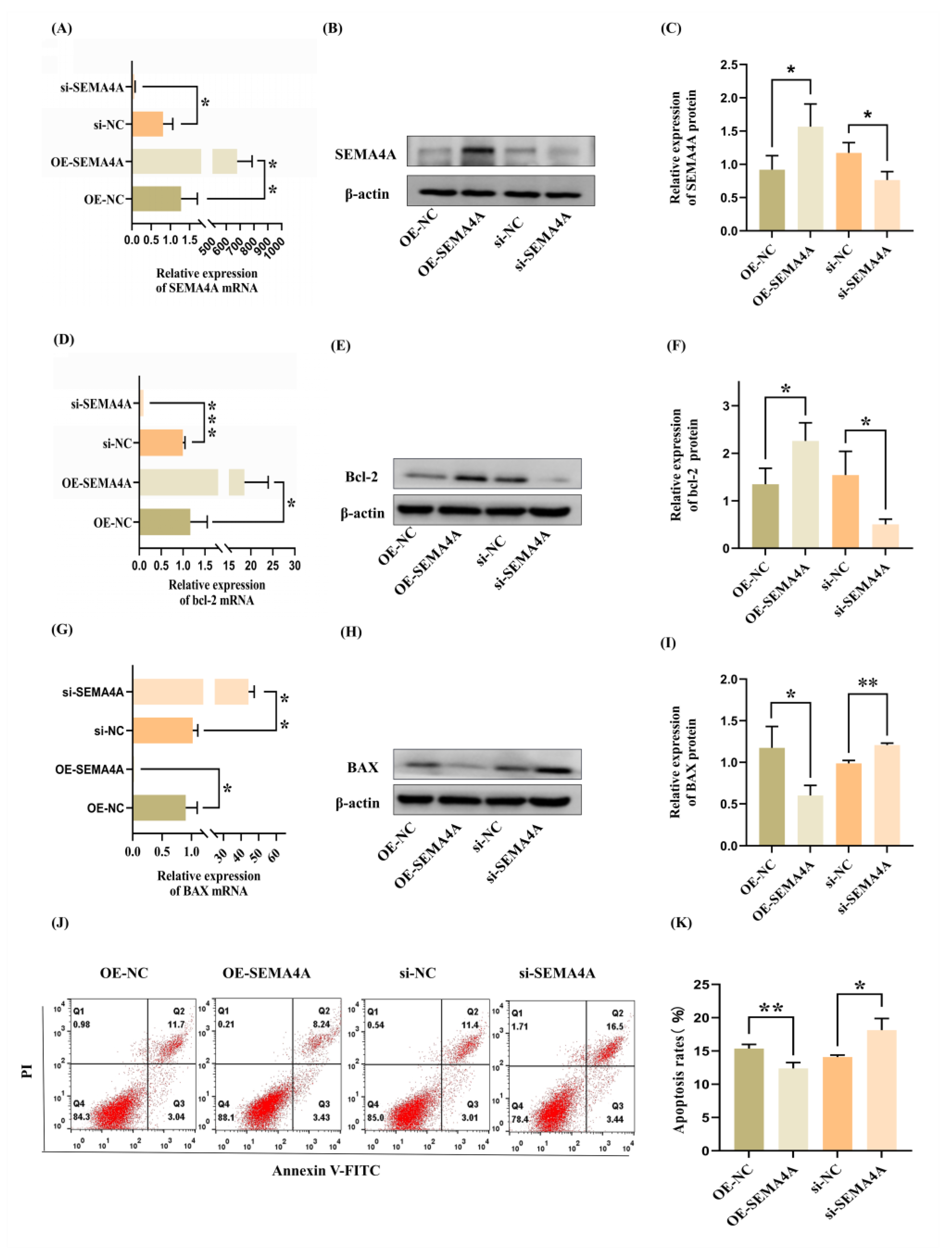 Biomolecules 14 00826 g004