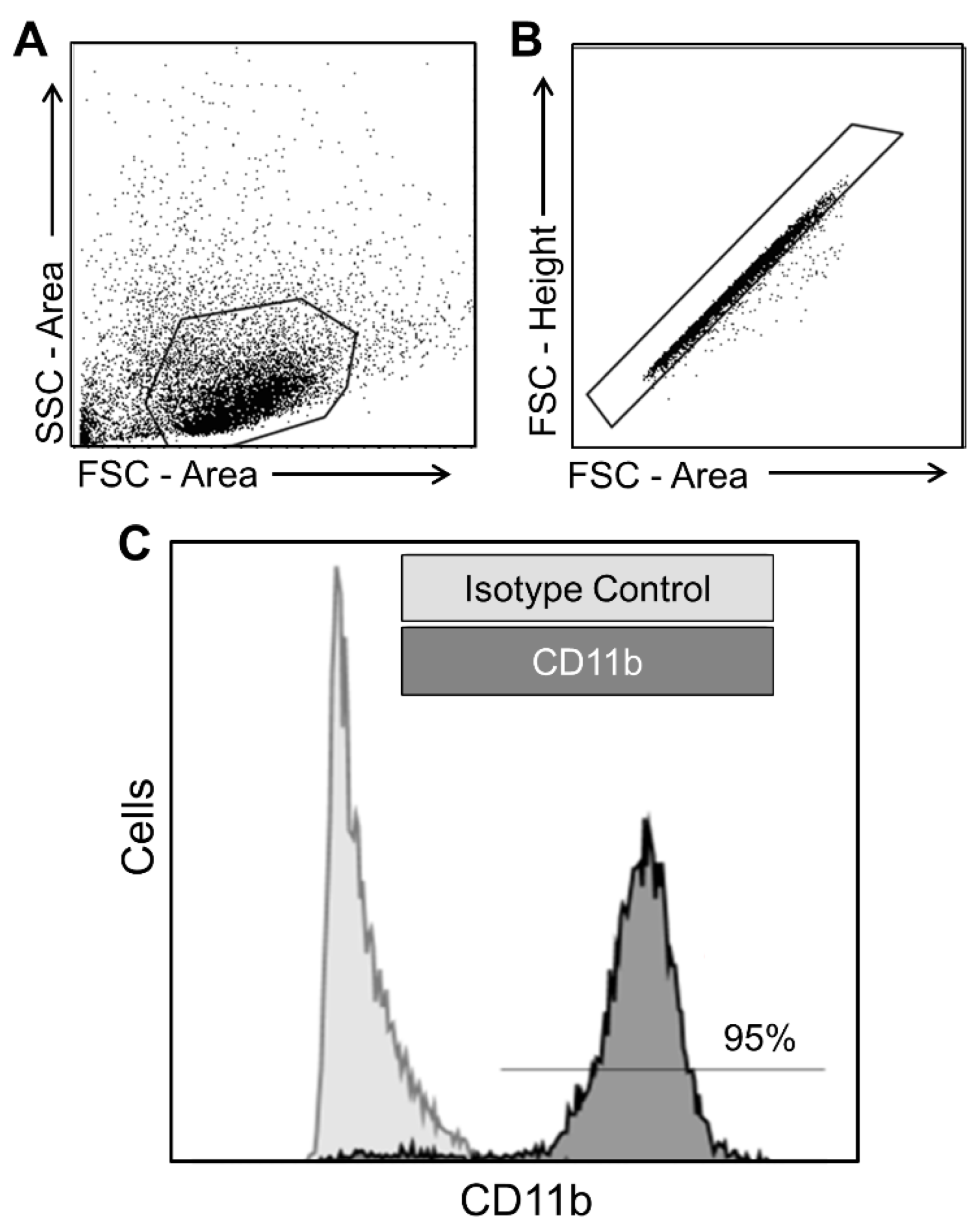 Biomolecules 14 00827 g002 Biomolecules 14 00827 g002