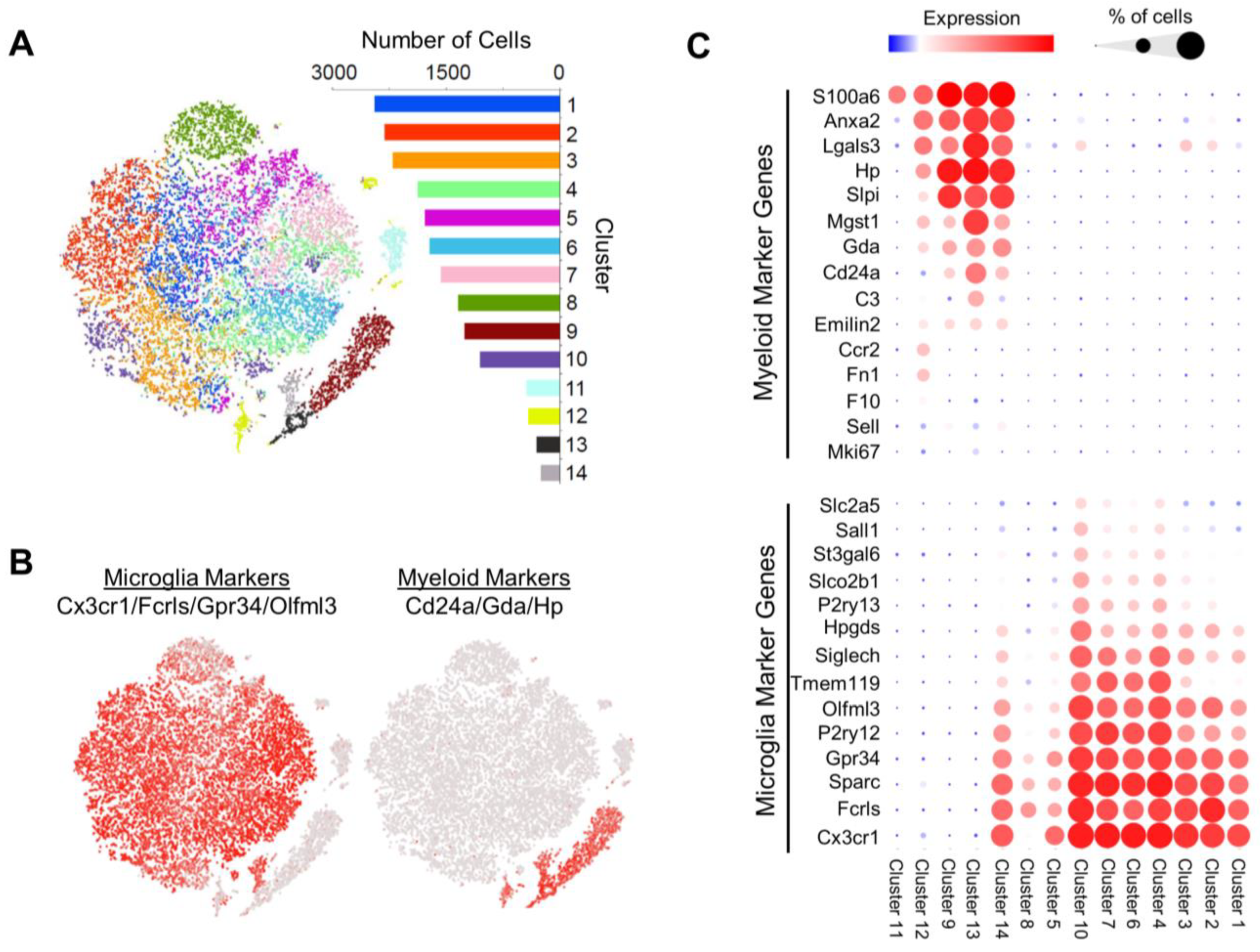 Biomolecules 14 00827 g003 Biomolecules 14 00827 g003