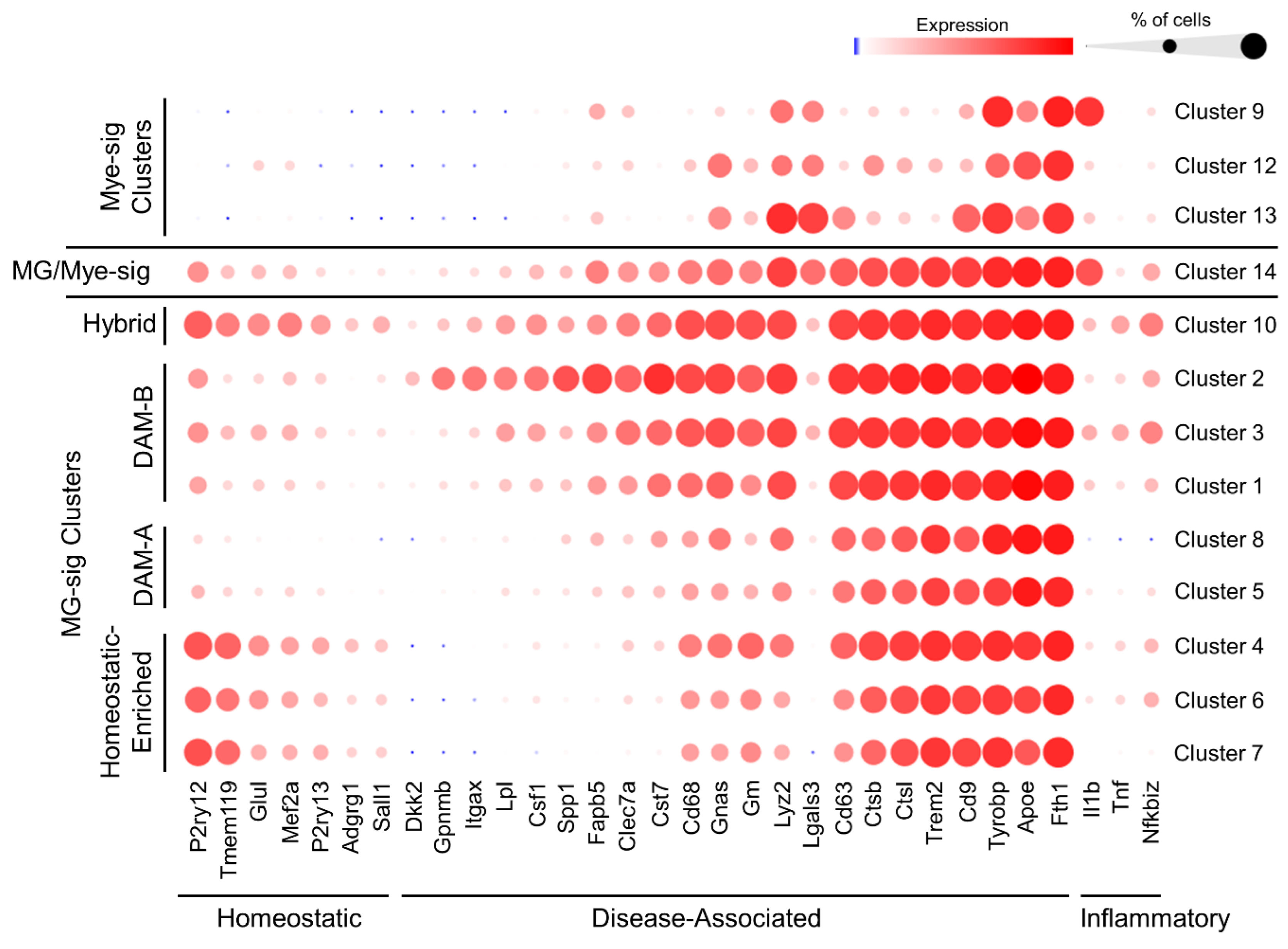 Biomolecules 14 00827 g004 Biomolecules 14 00827 g004