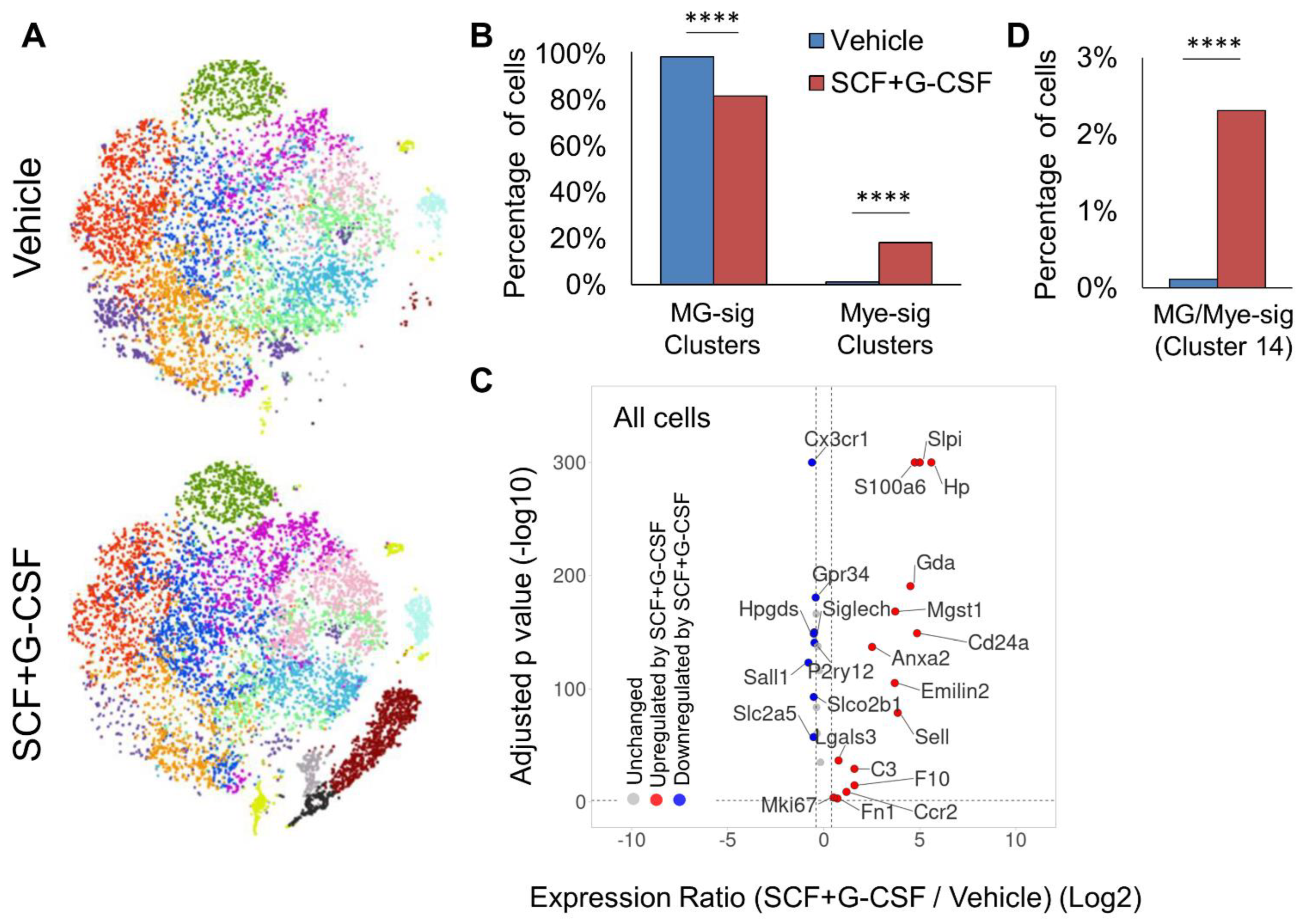 Biomolecules 14 00827 g005 Biomolecules 14 00827 g005