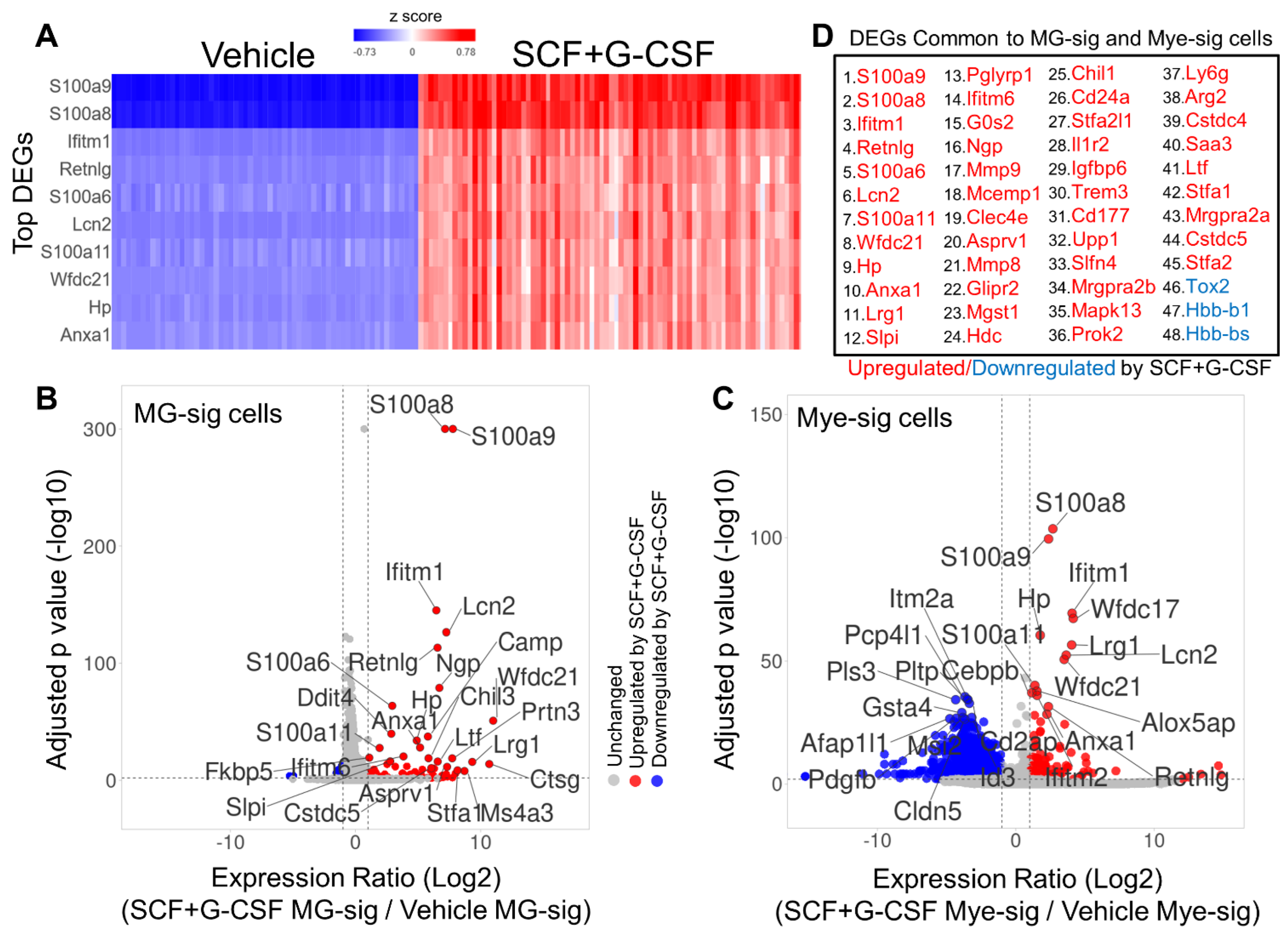 Biomolecules 14 00827 g007 Biomolecules 14 00827 g007