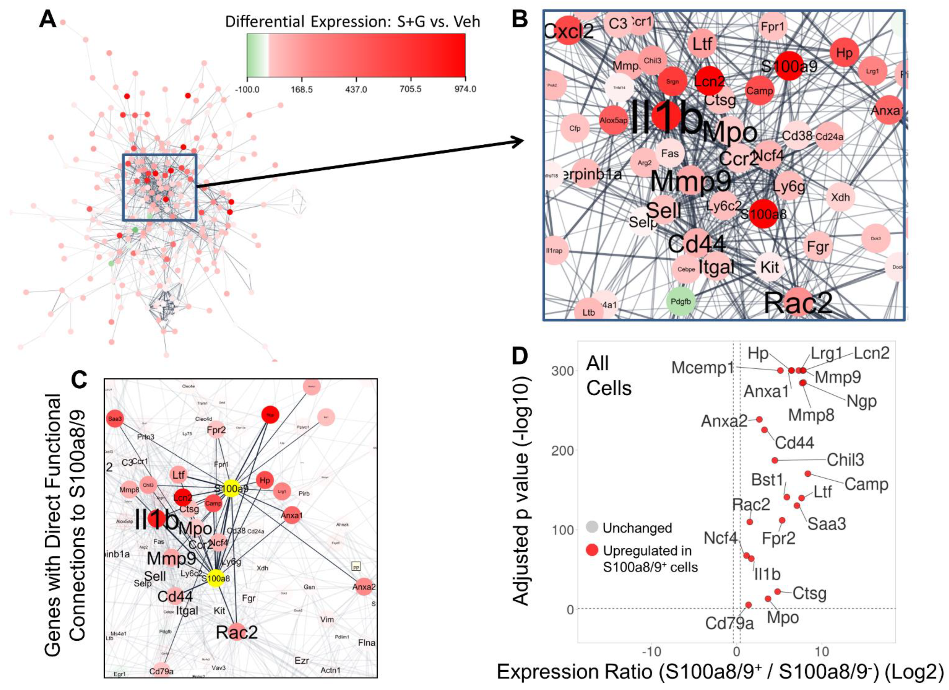 Biomolecules 14 00827 g009 Biomolecules 14 00827 g009