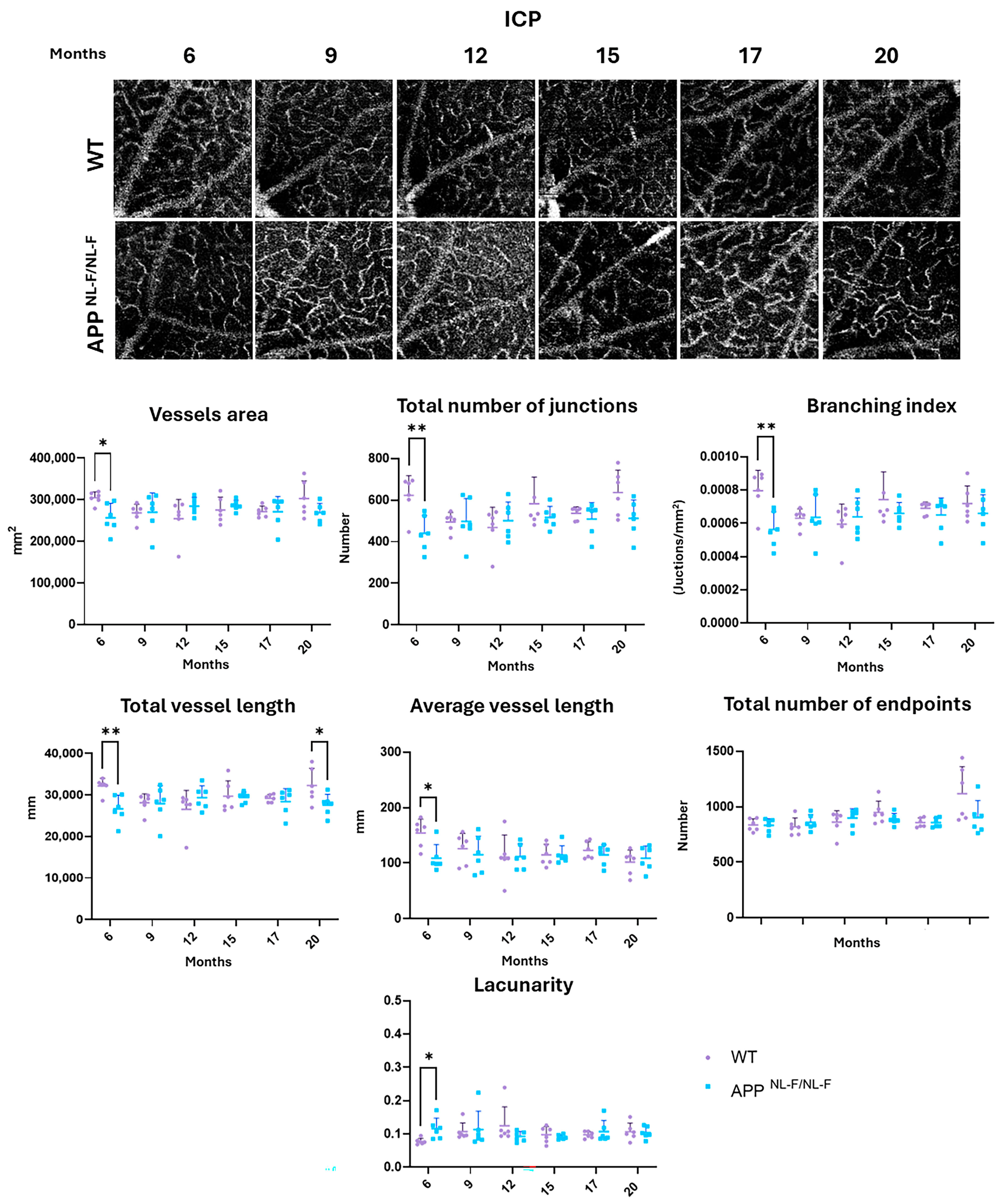 Biomolecules 14 00828 g003 Biomolecules 14 00828 g003