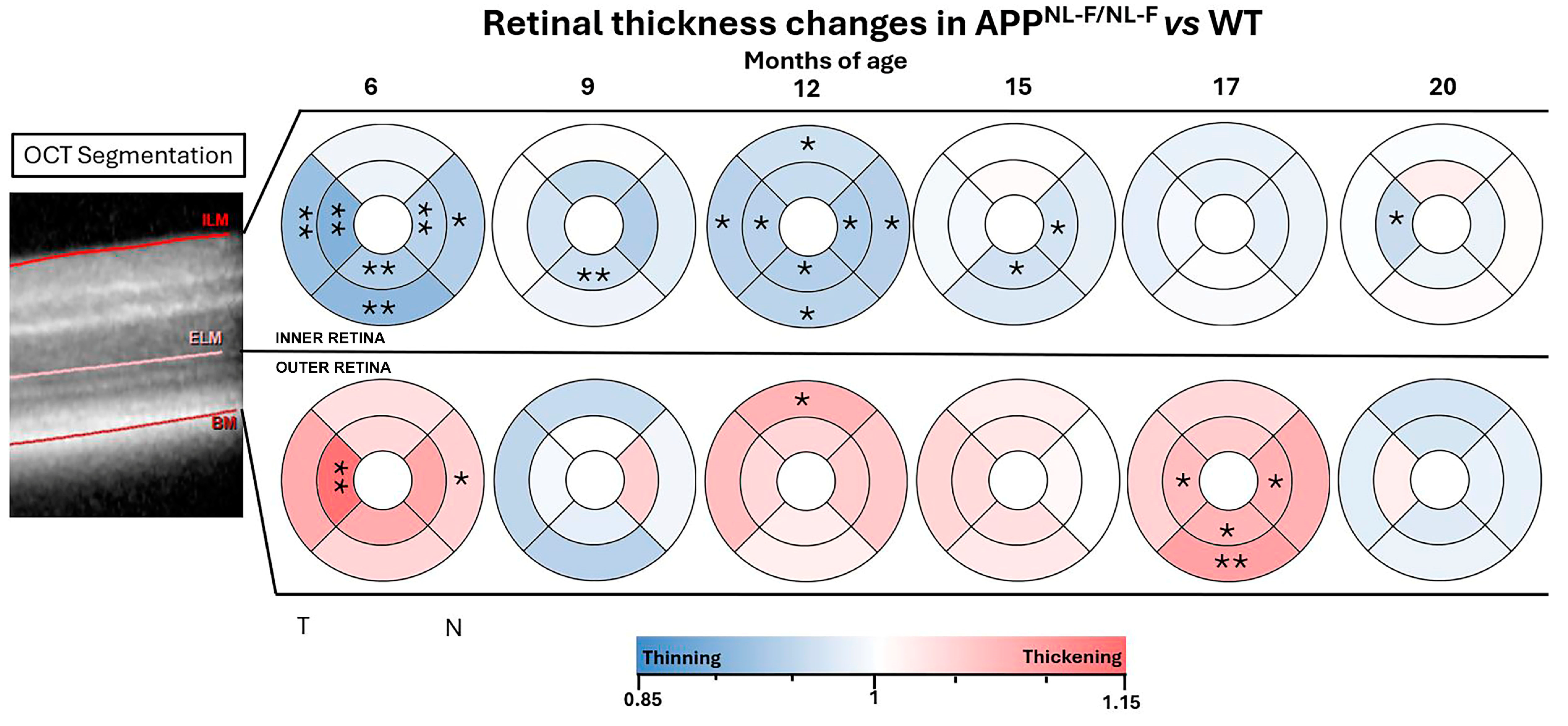 Biomolecules 14 00828 g005 Biomolecules 14 00828 g005