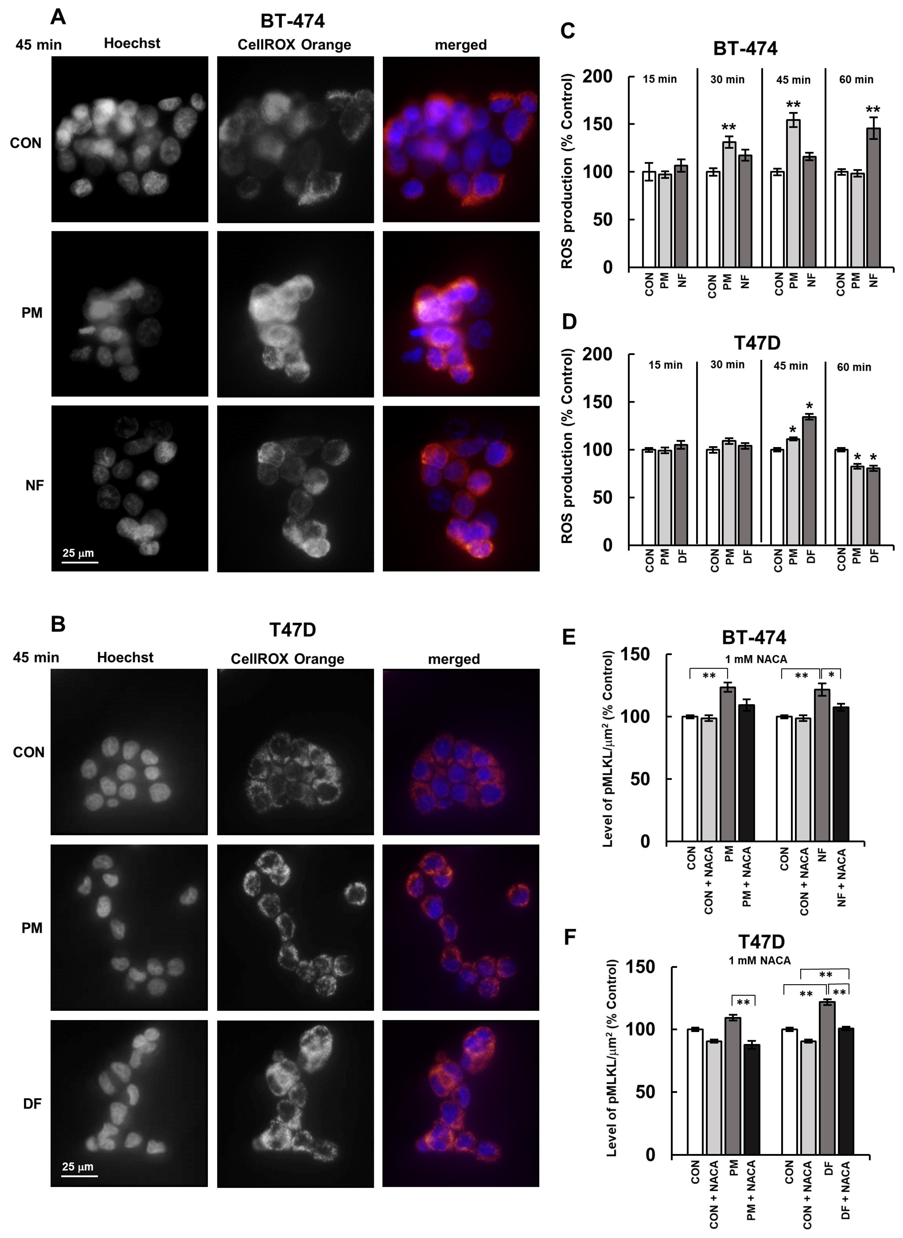 Biomolecules 14 00829 g005