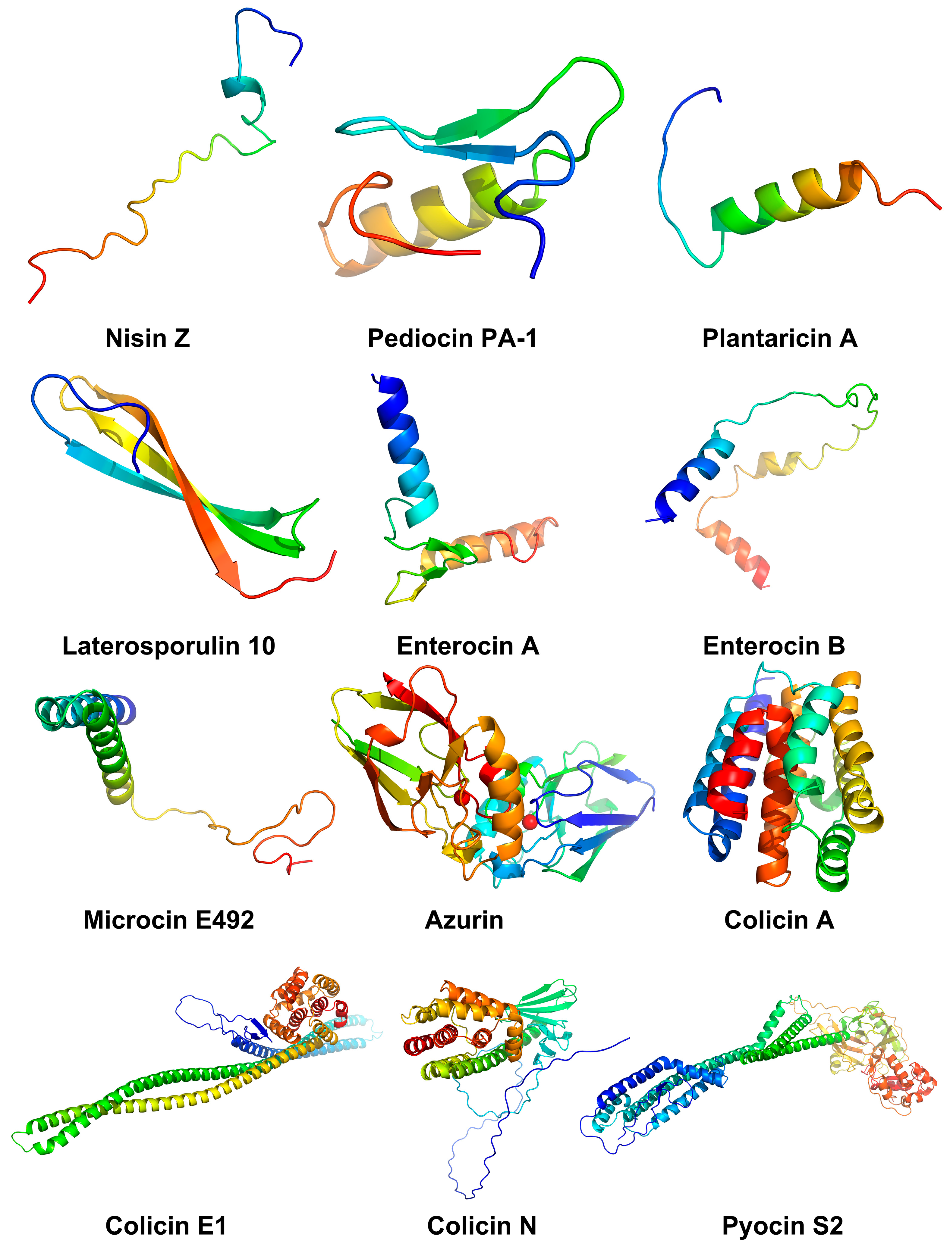 Biomolecules 14 00831 g003 Biomolecules 14 00831 g003