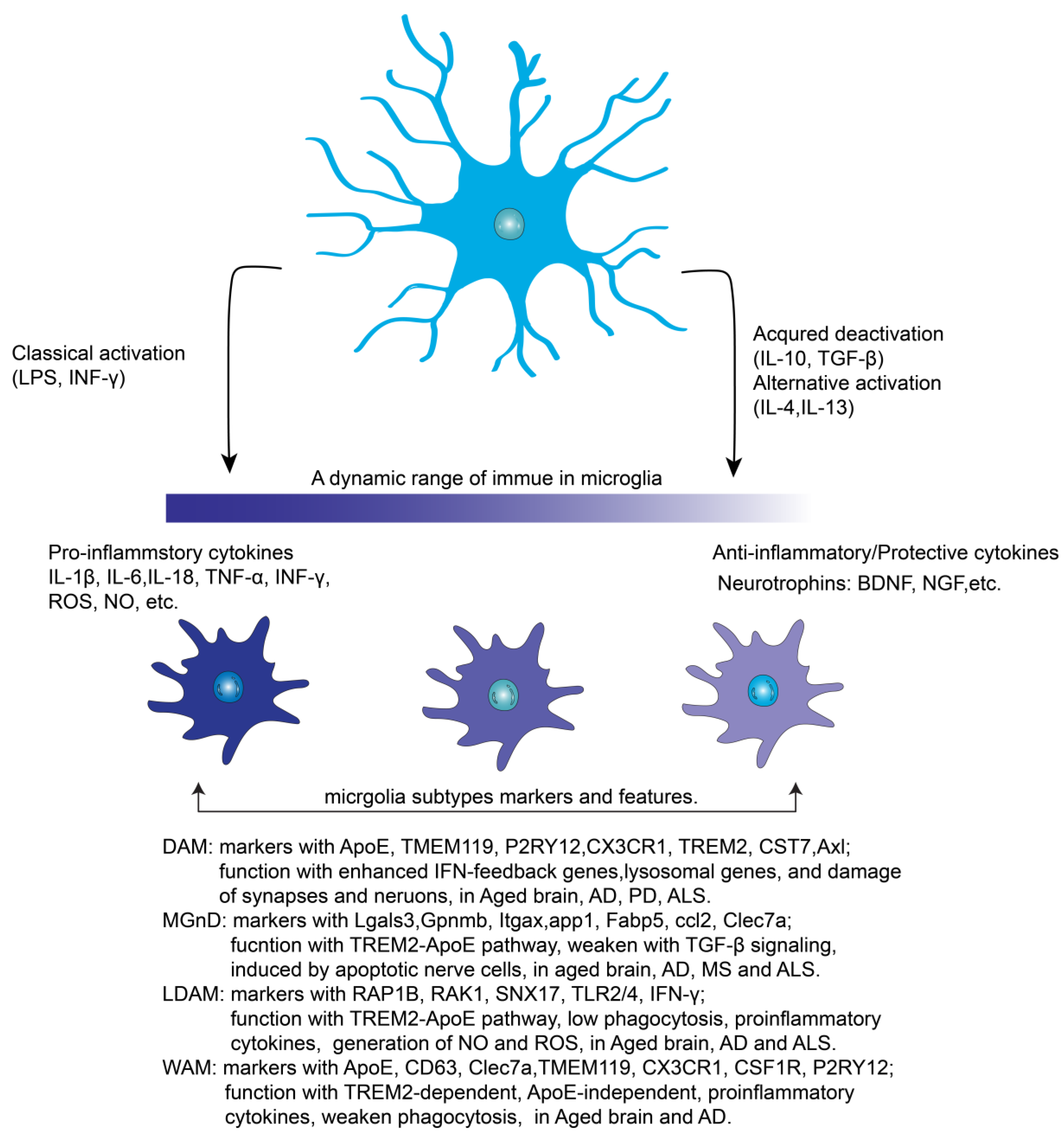 Biomolecules 14 00833 g002
