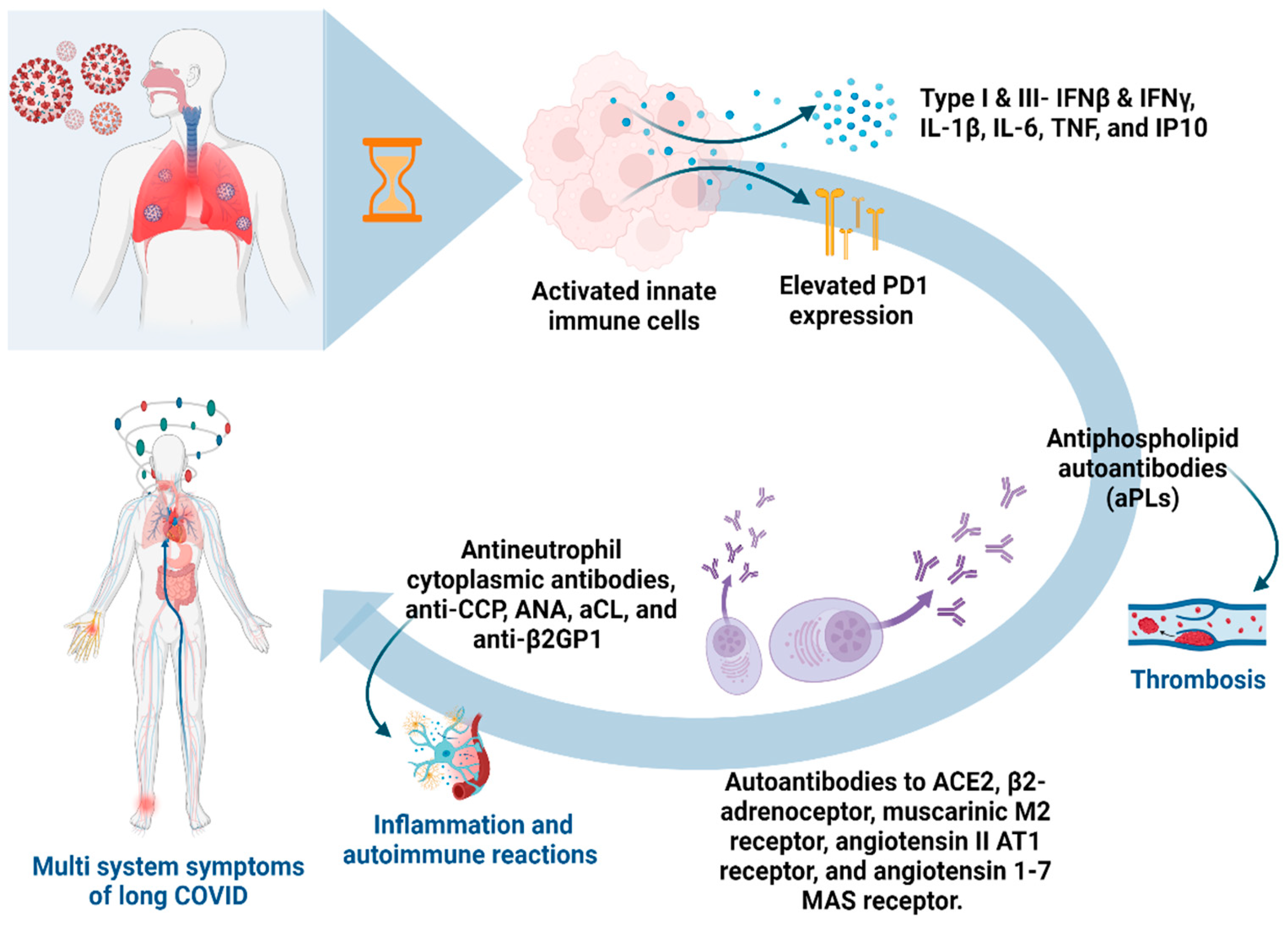 Biomolecules 14 00835 g001