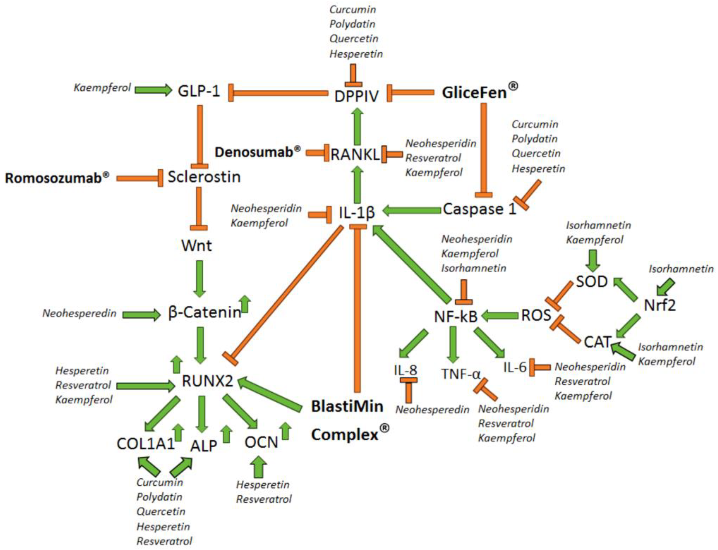 Biomolecules 14 00836 g003