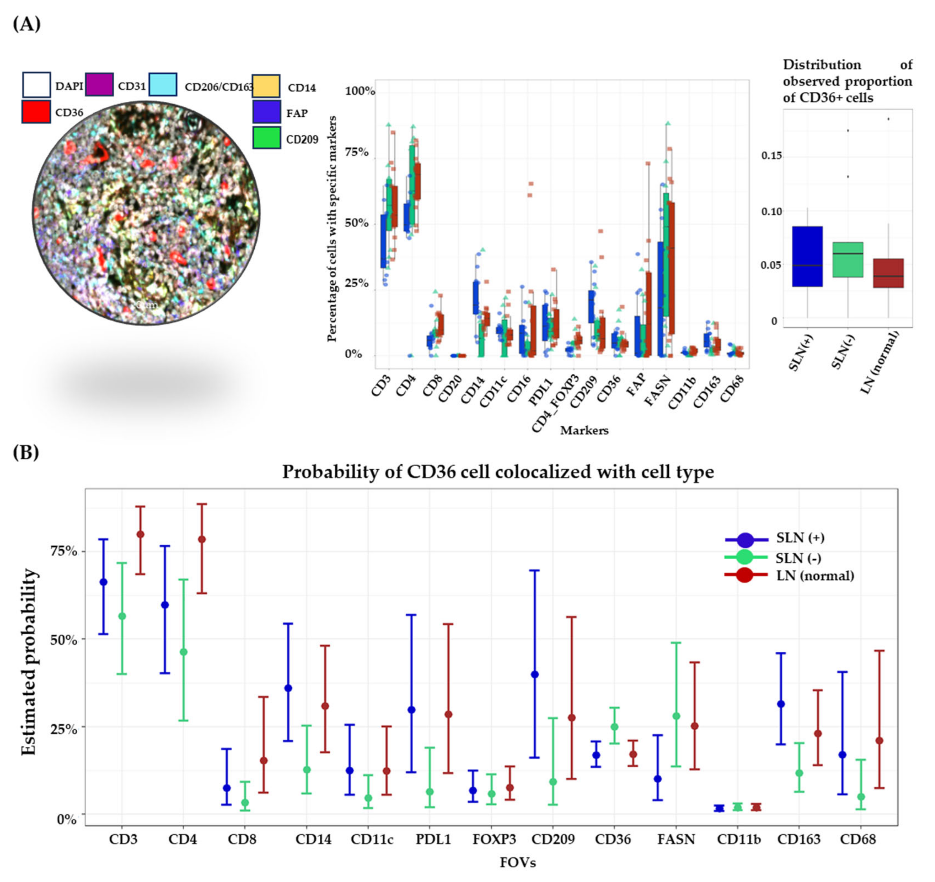 Biomolecules 14 00837 g004