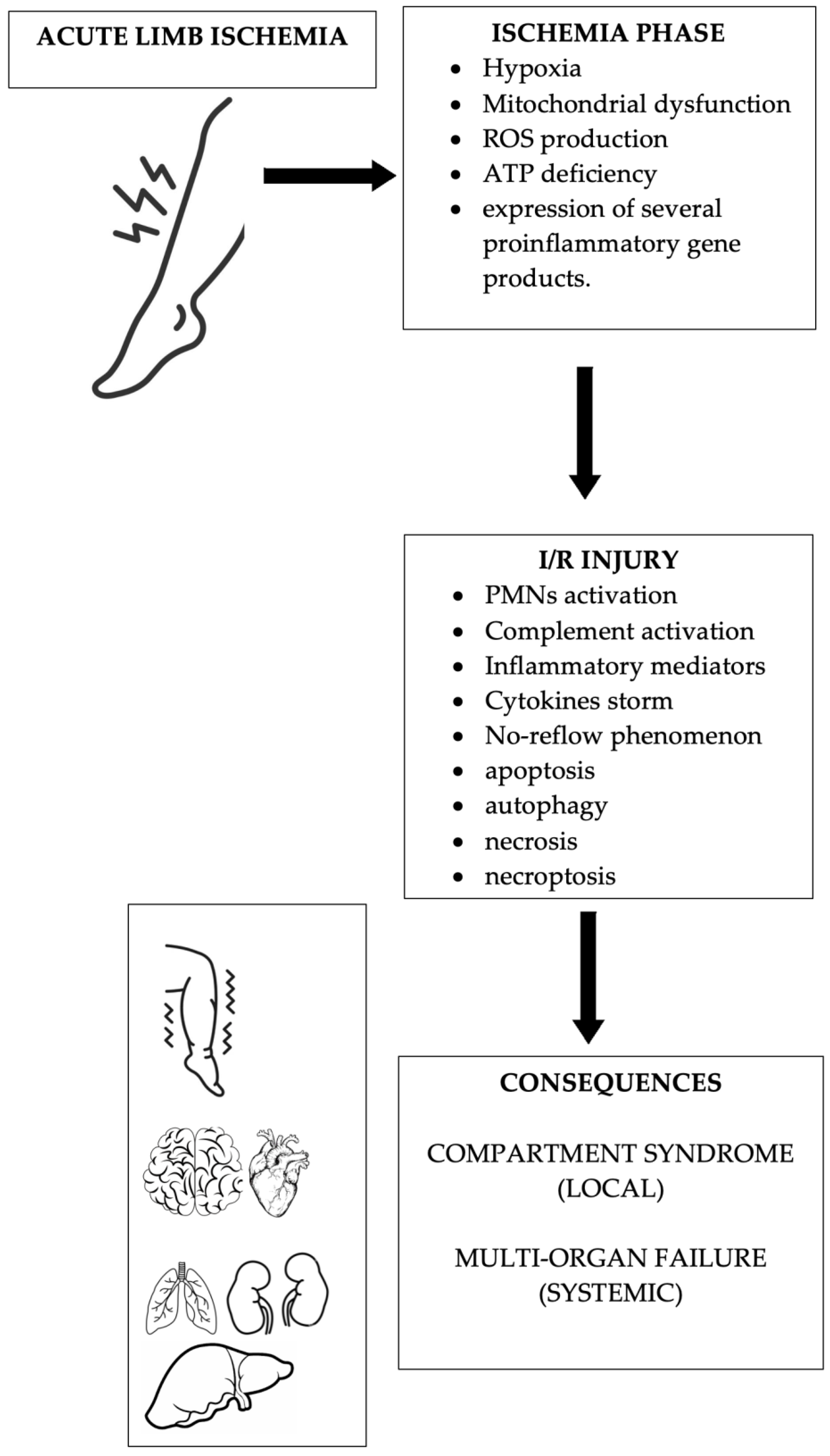 Biomolecules 14 00838 g002