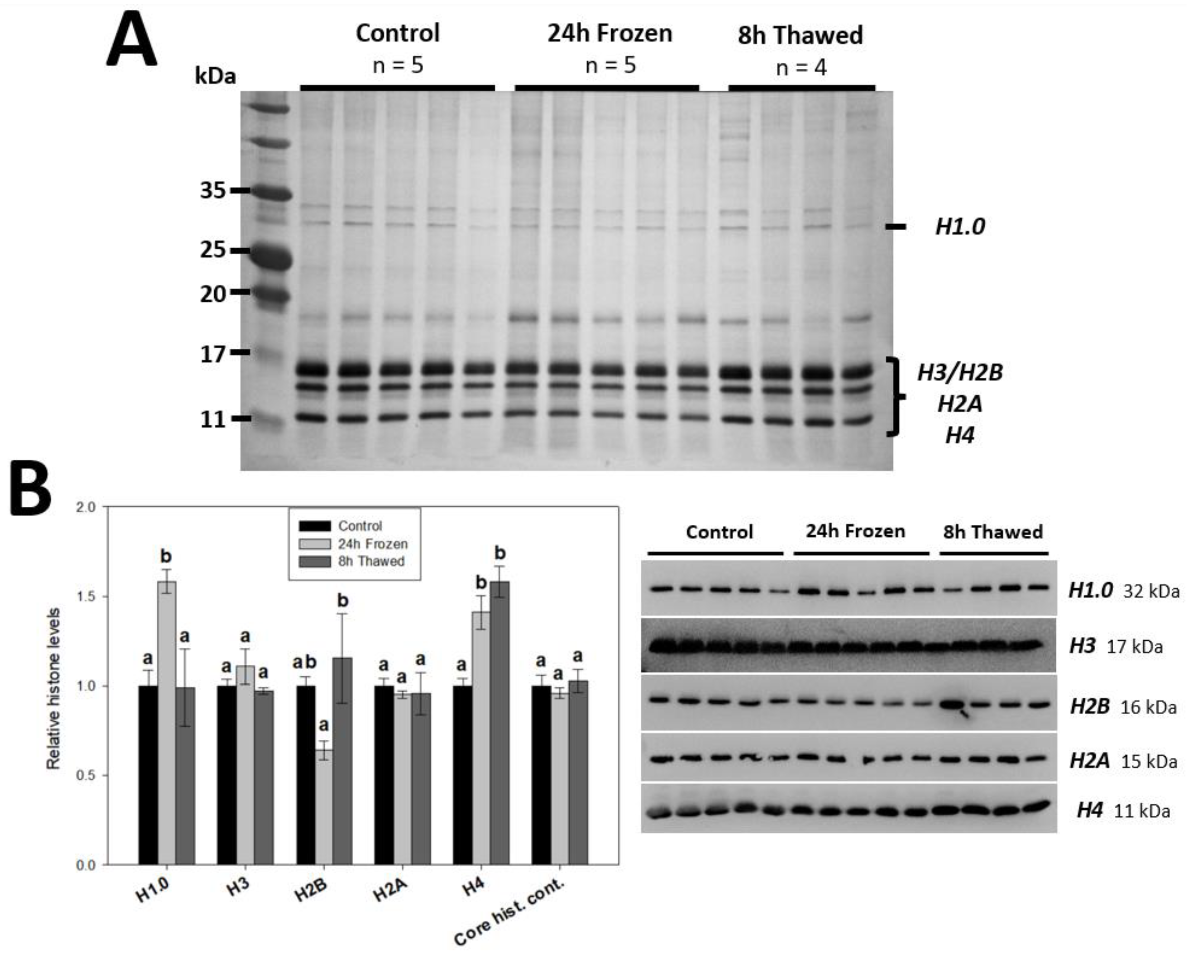 Biomolecules 14 00839 g001