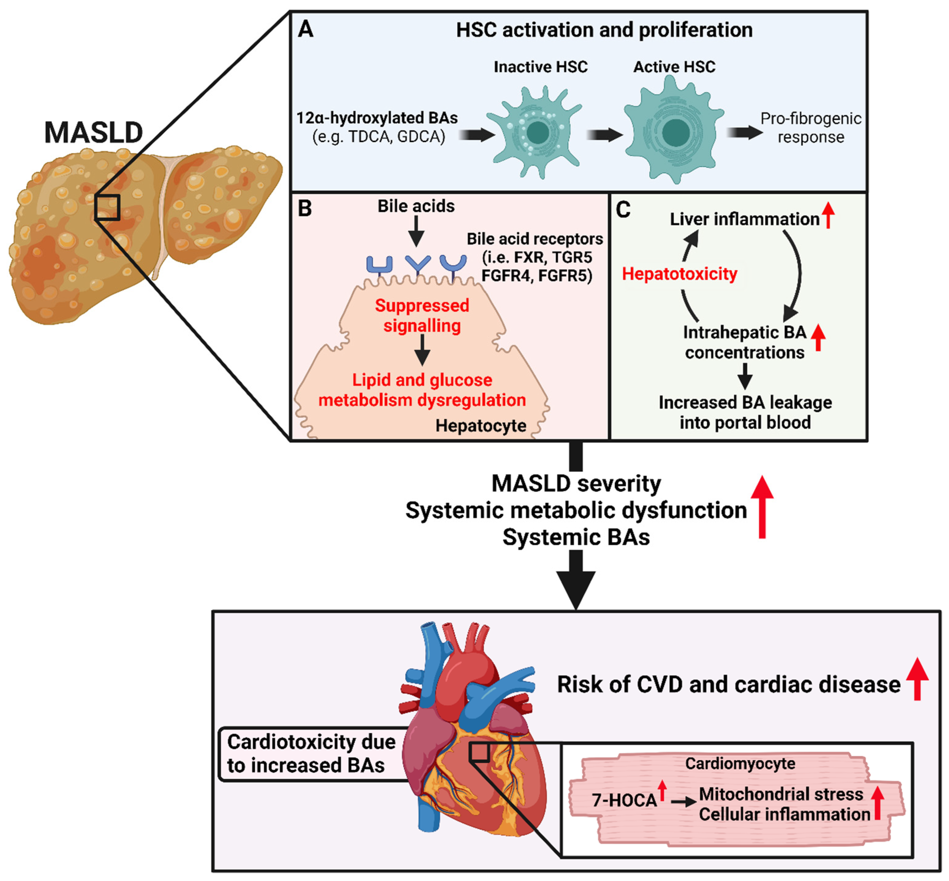 Biomolecules 14 00841 g003