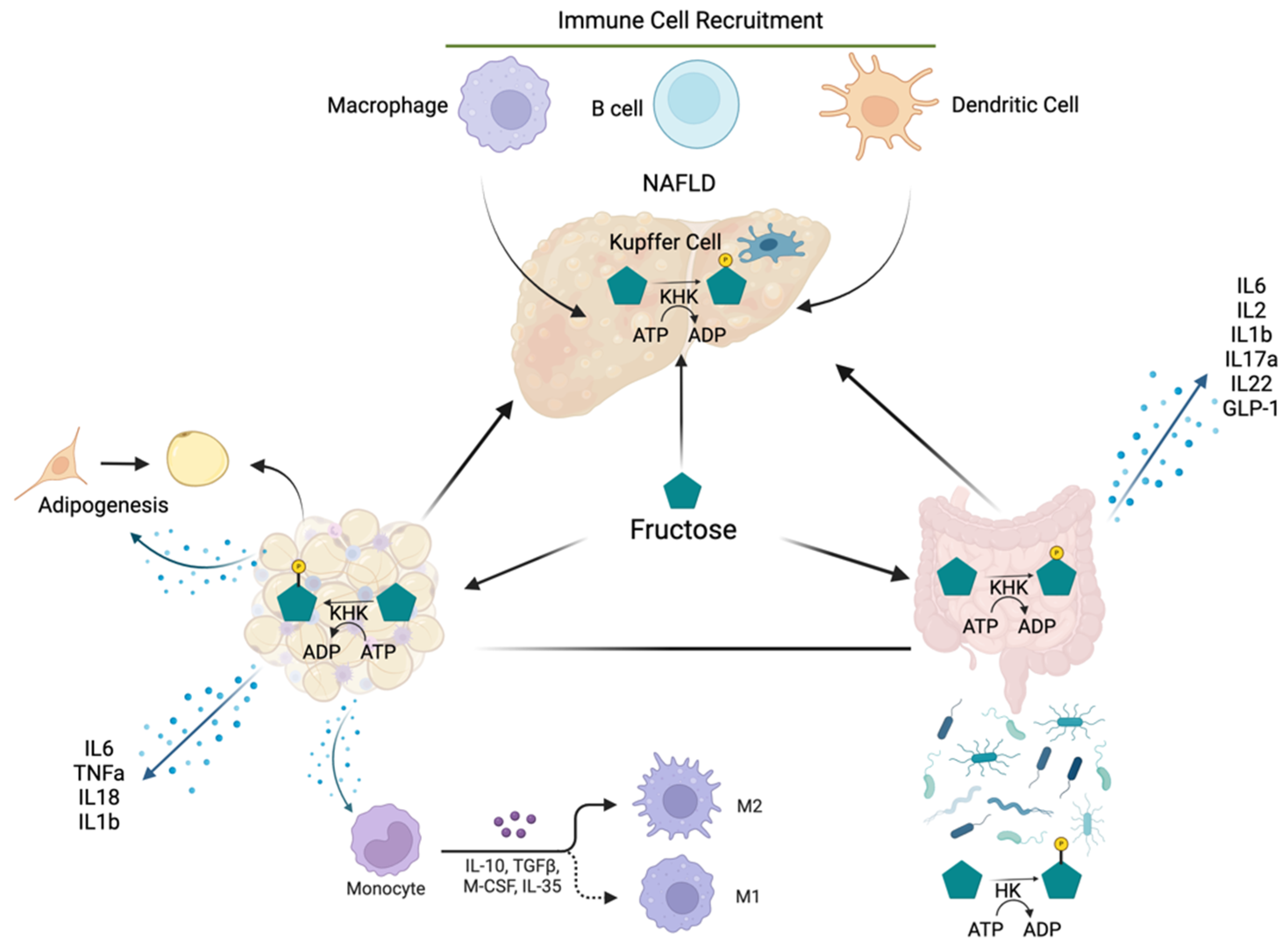 Biomolecules 14 00845 g001