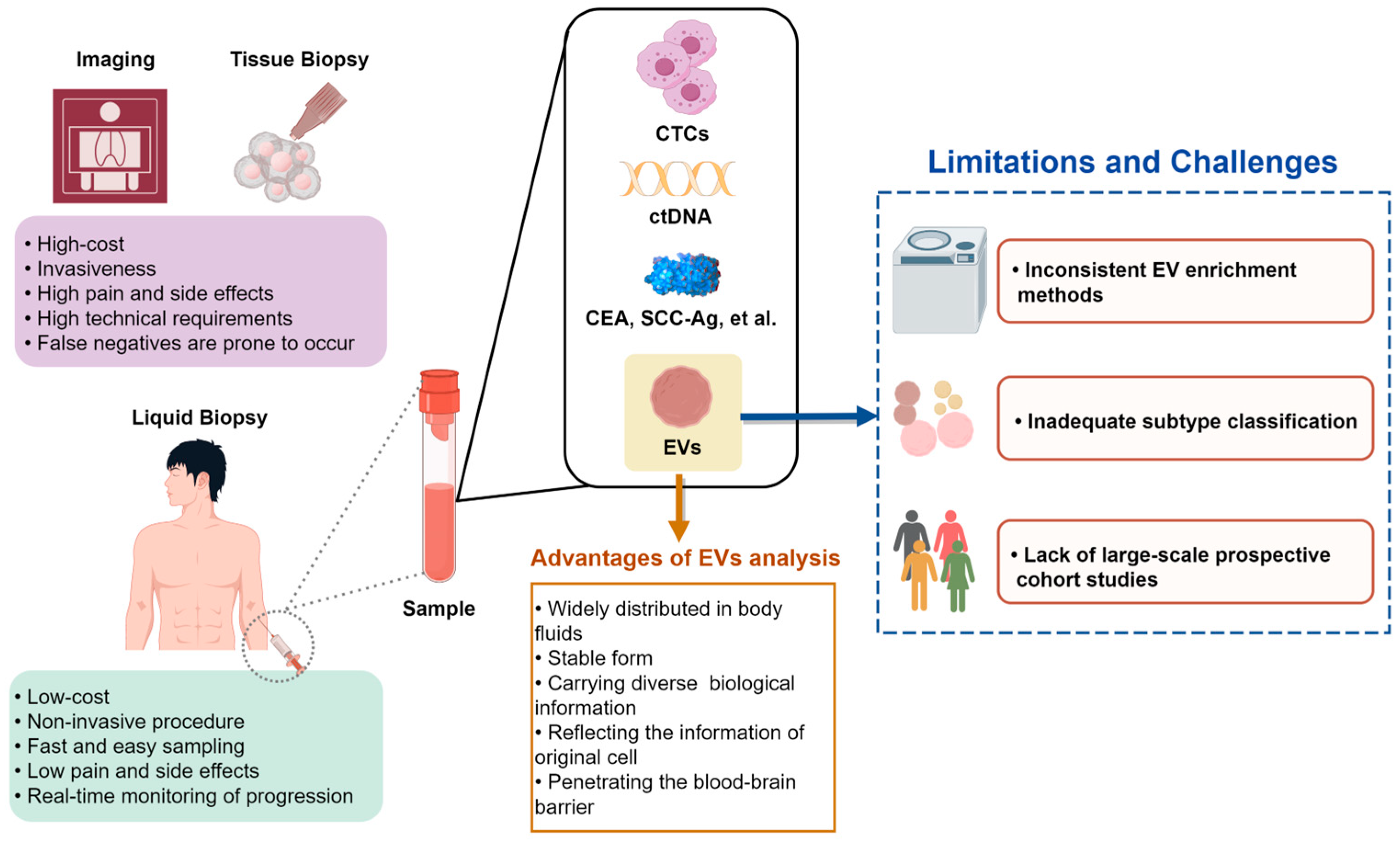 Biomolecules 14 00847 g004