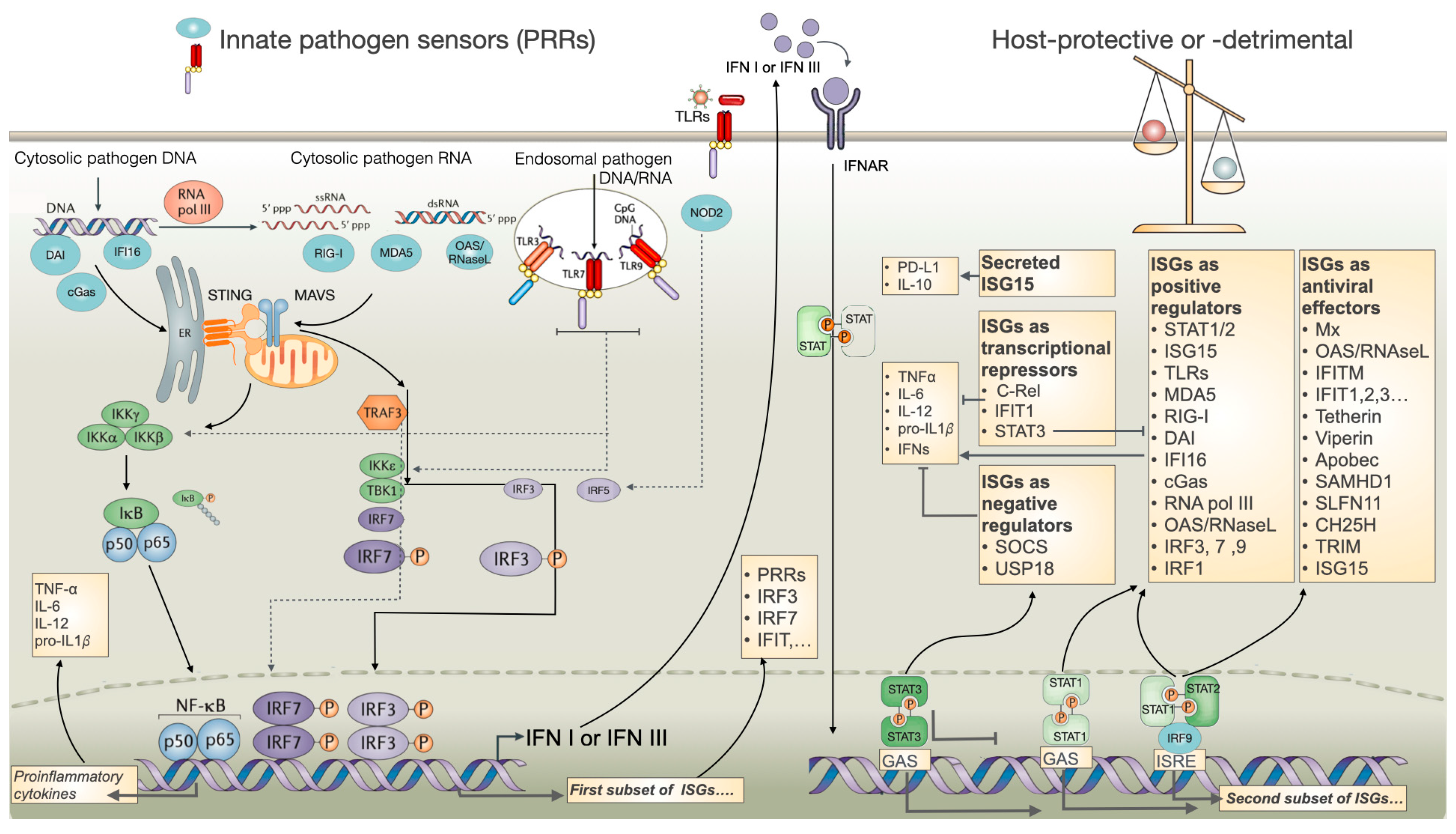 Biomolecules 14 00848 g002