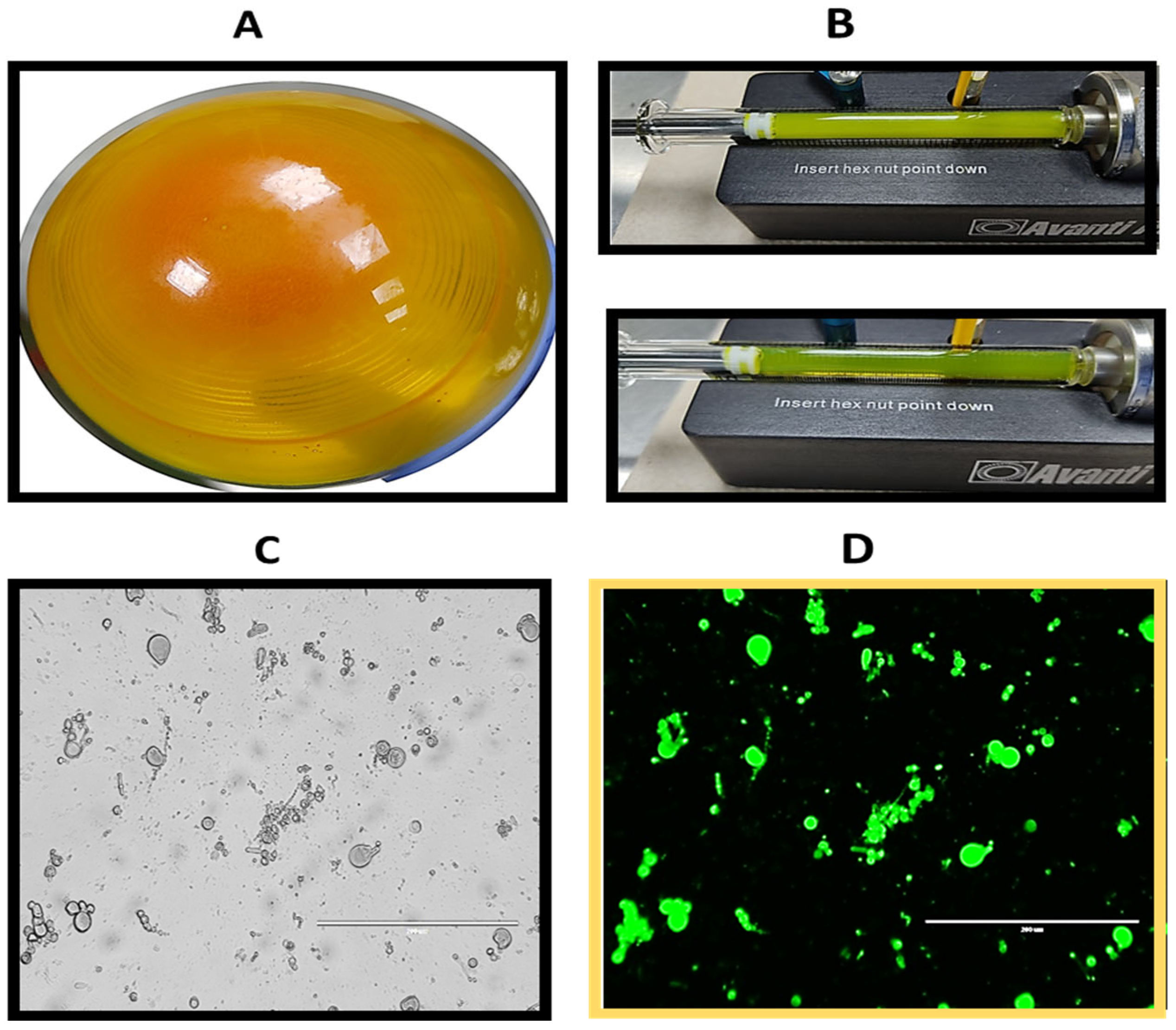 Biomolecules 14 00851 g003