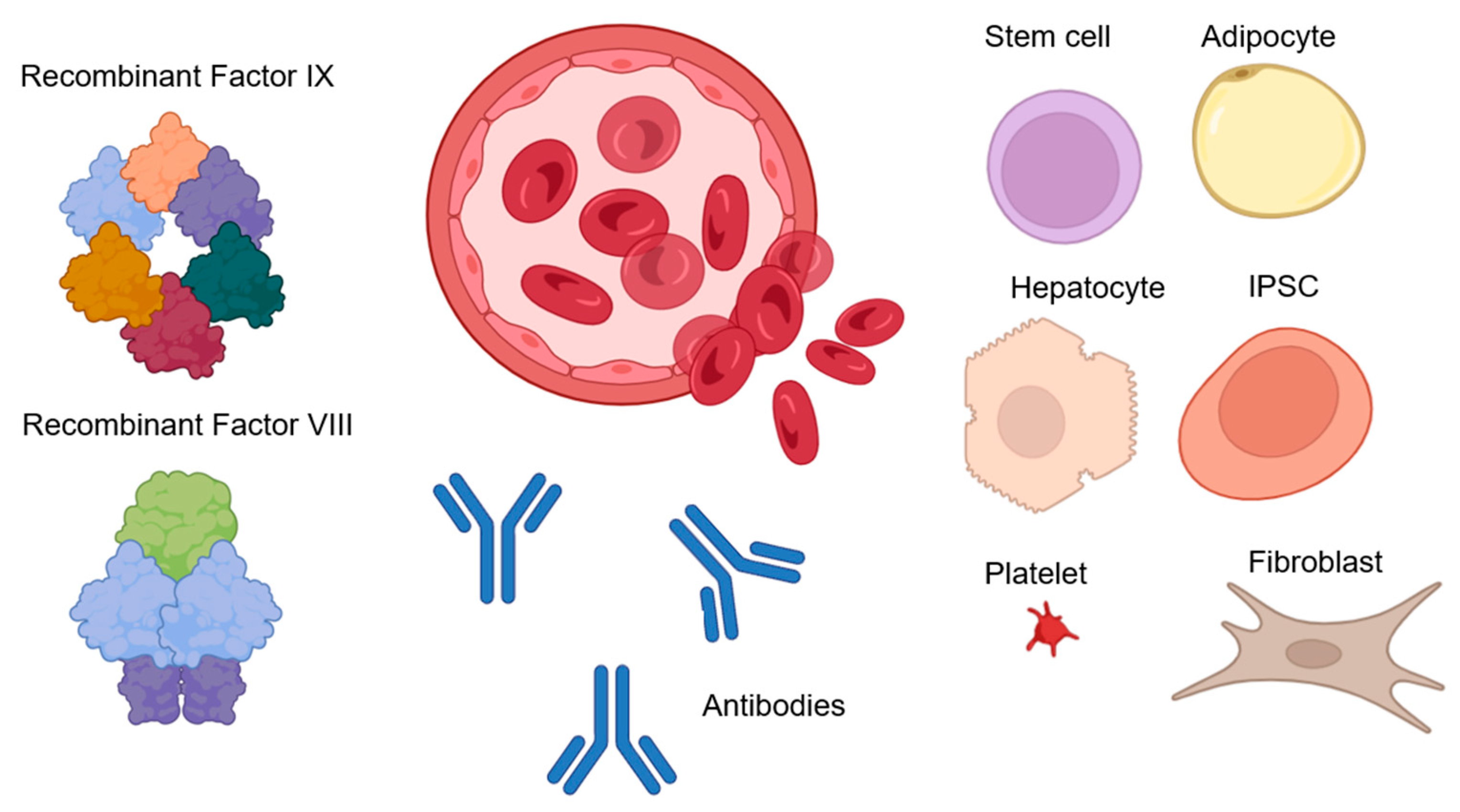 Biomolecules 14 00854 g002 Biomolecules 14 00854 g002