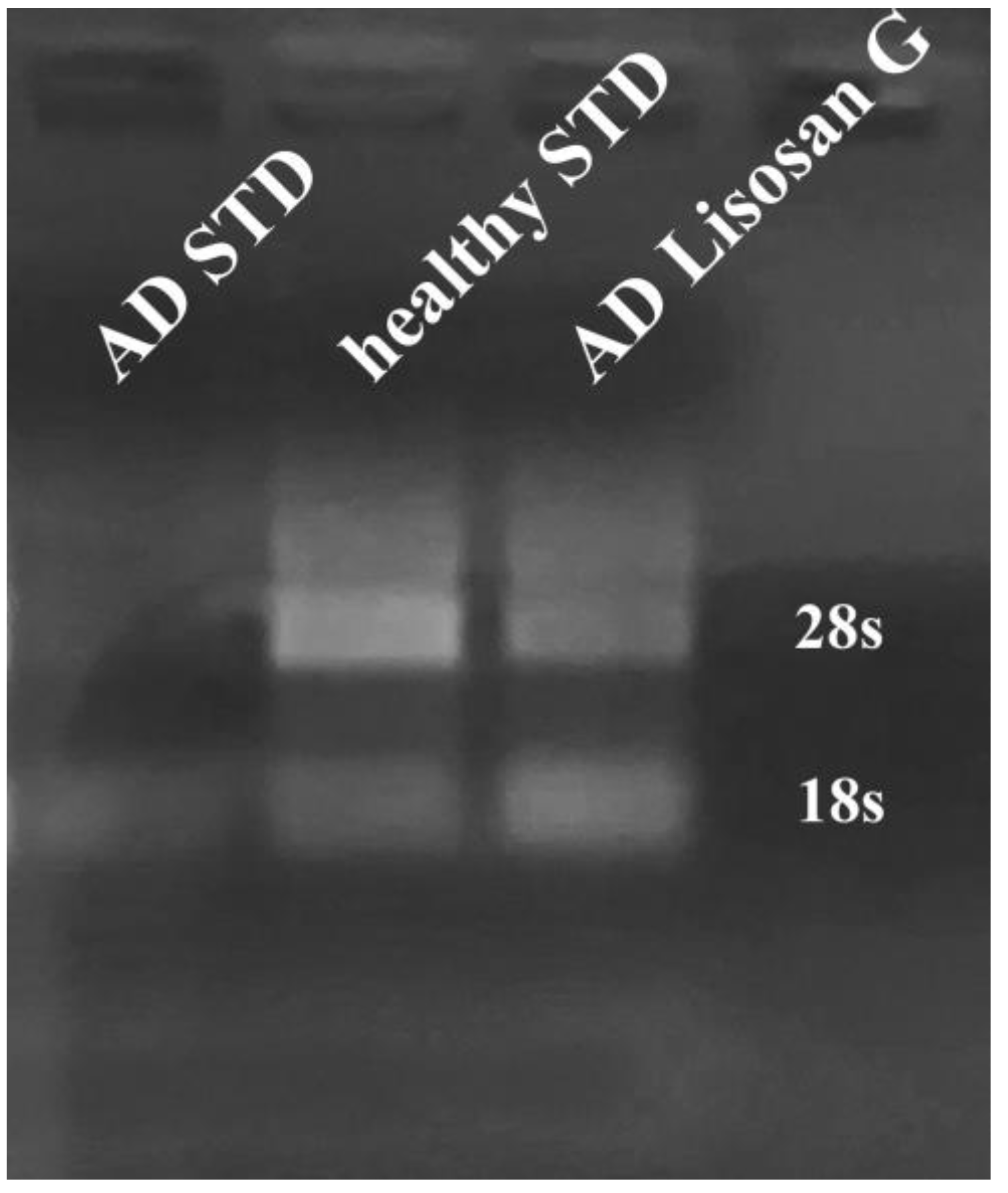 Biomolecules 14 00855 g007 Biomolecules 14 00855 g007