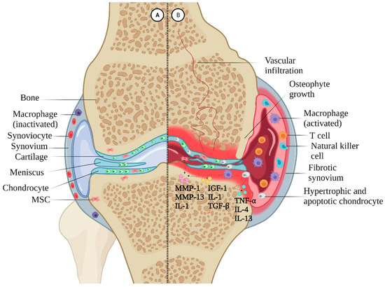 Biomolecules 14 00858 g001