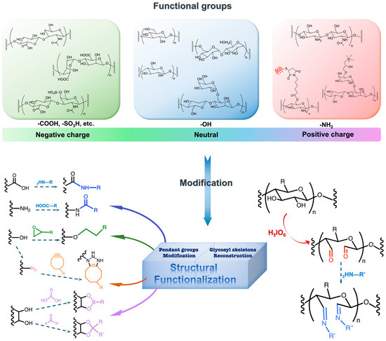 Biomolecules 14 00858 g003