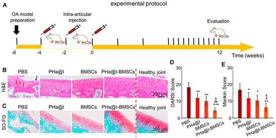 Biomolecules 14 00858 g006