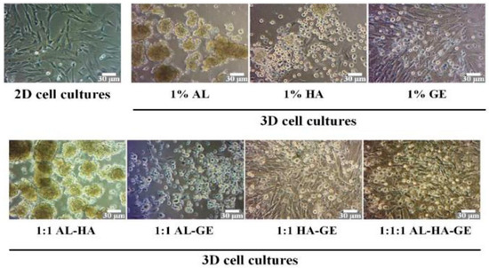 Biomolecules 14 00858 g007
