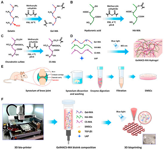 Biomolecules 14 00858 g008