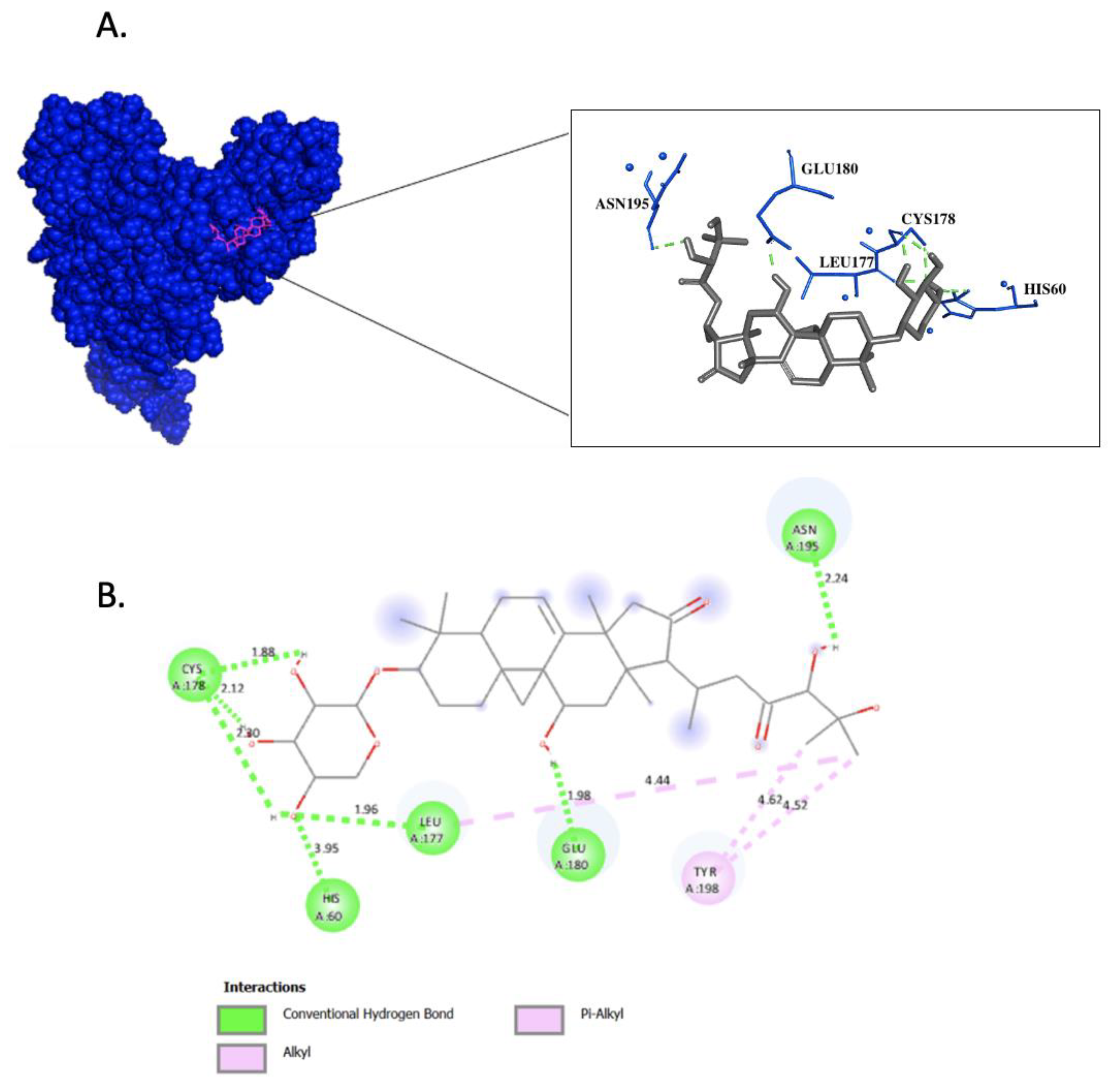 Biomolecules 14 00860 g001