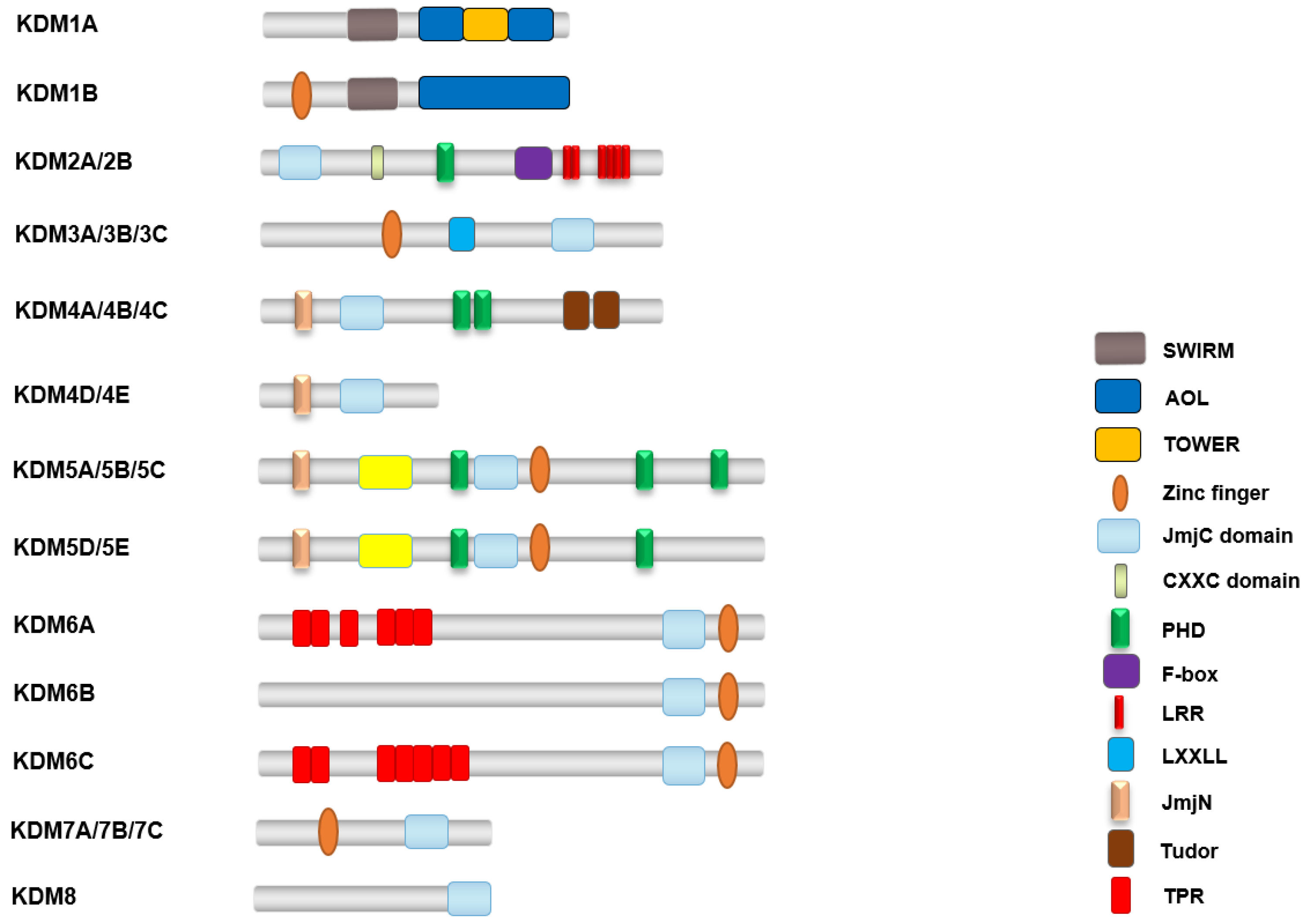 Biomolecules 14 00862 g003 Biomolecules 14 00862 g003
