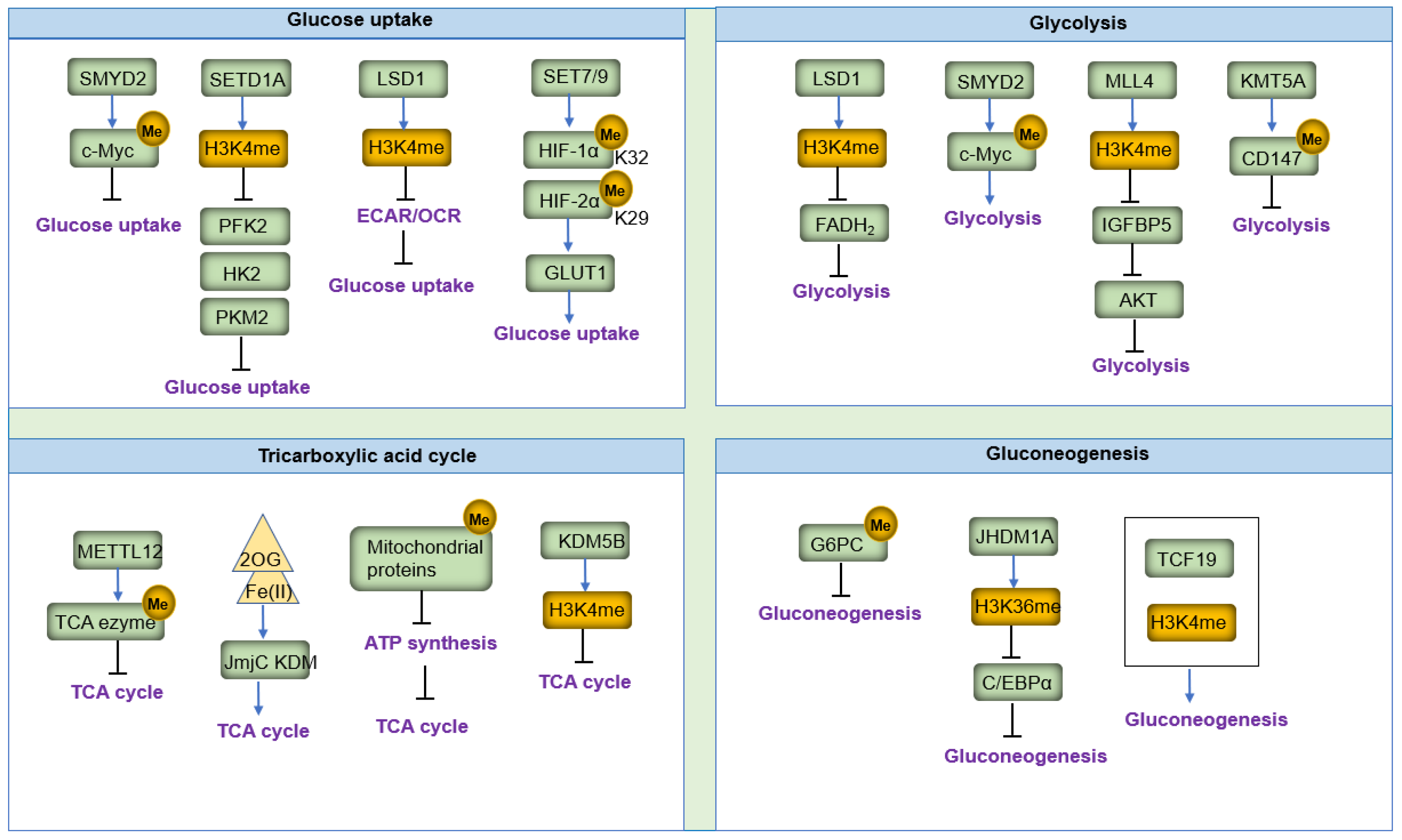 Biomolecules 14 00862 g005 Biomolecules 14 00862 g005