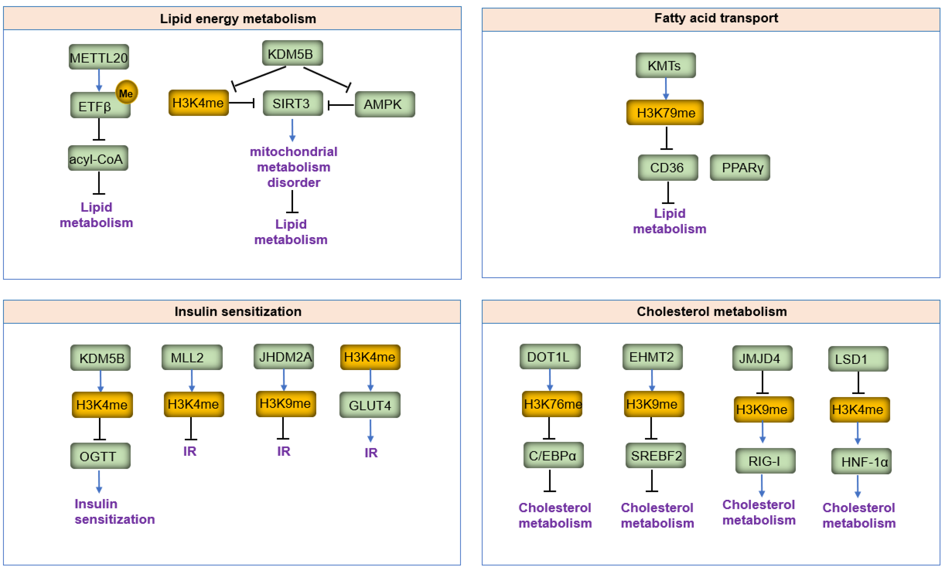 Biomolecules 14 00862 g006 Biomolecules 14 00862 g006