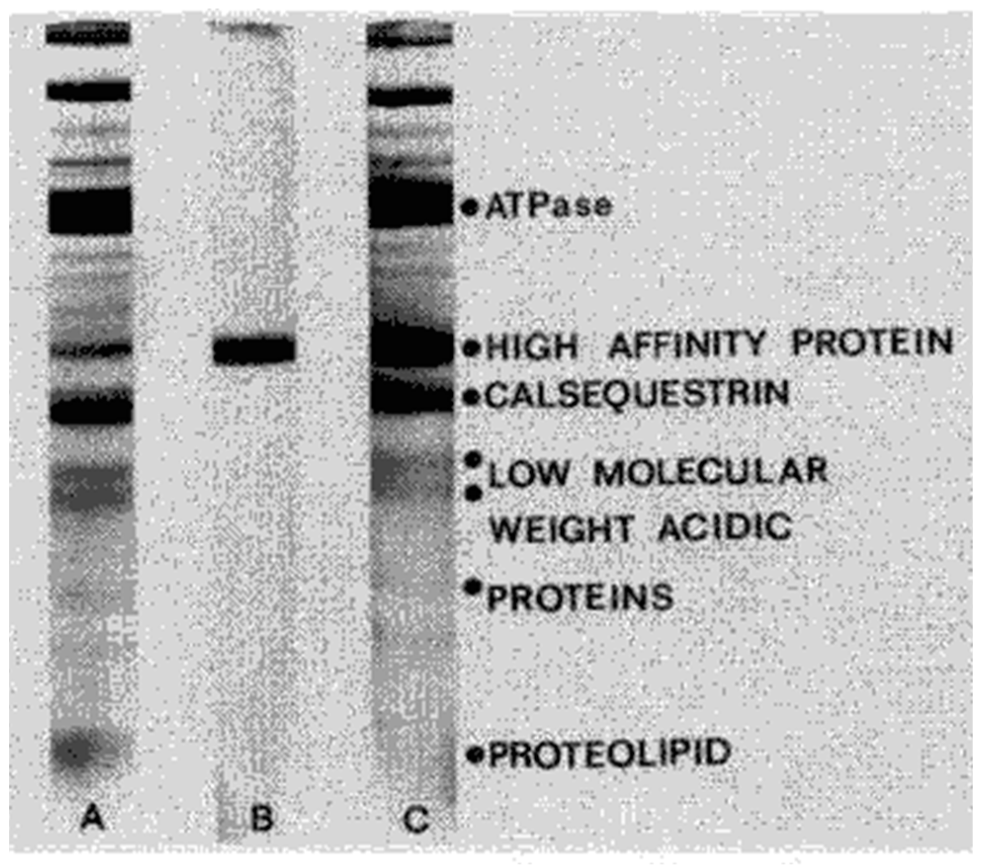 Biomolecules 14 00866 g001