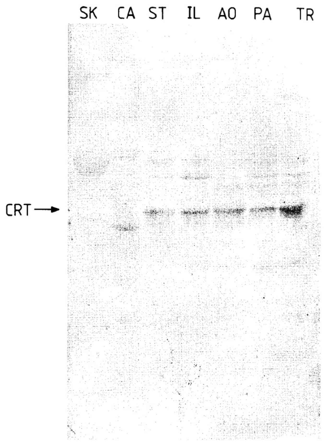 Biomolecules 14 00866 g005