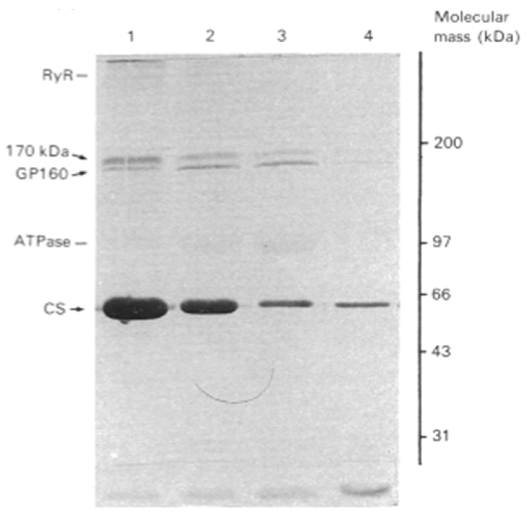 Biomolecules 14 00866 g007