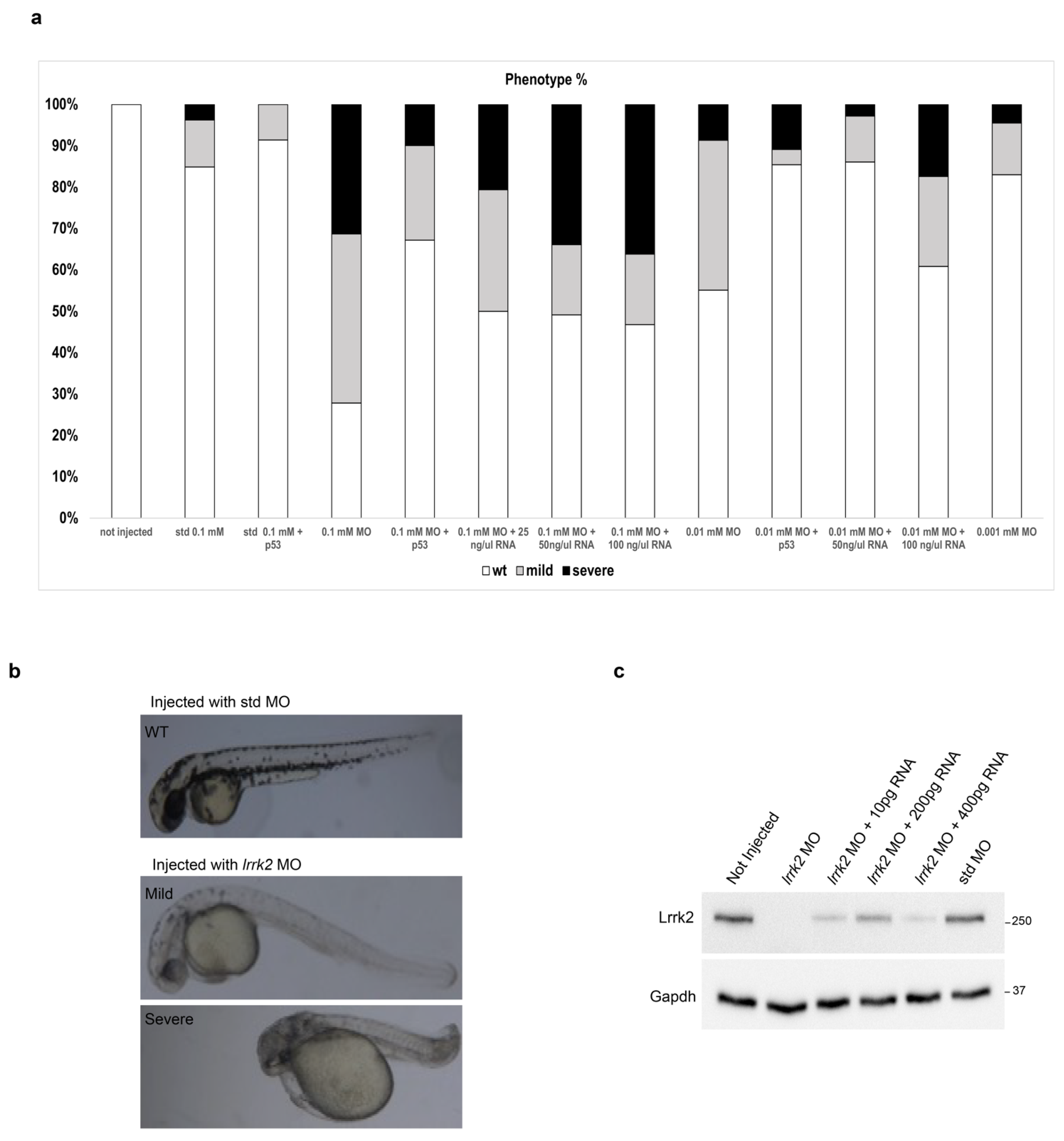Biomolecules 14 00870 g004