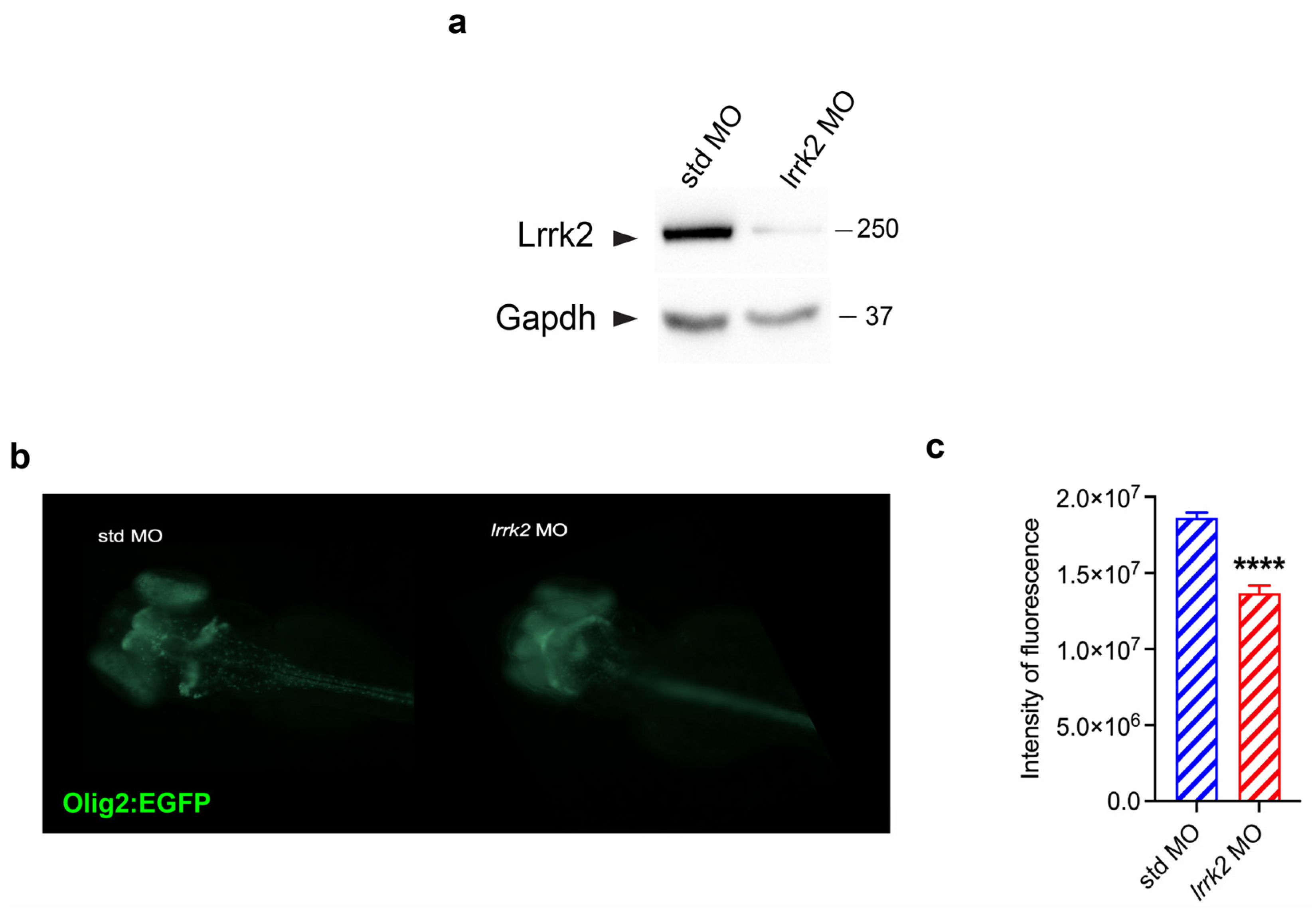 Biomolecules 14 00870 g005