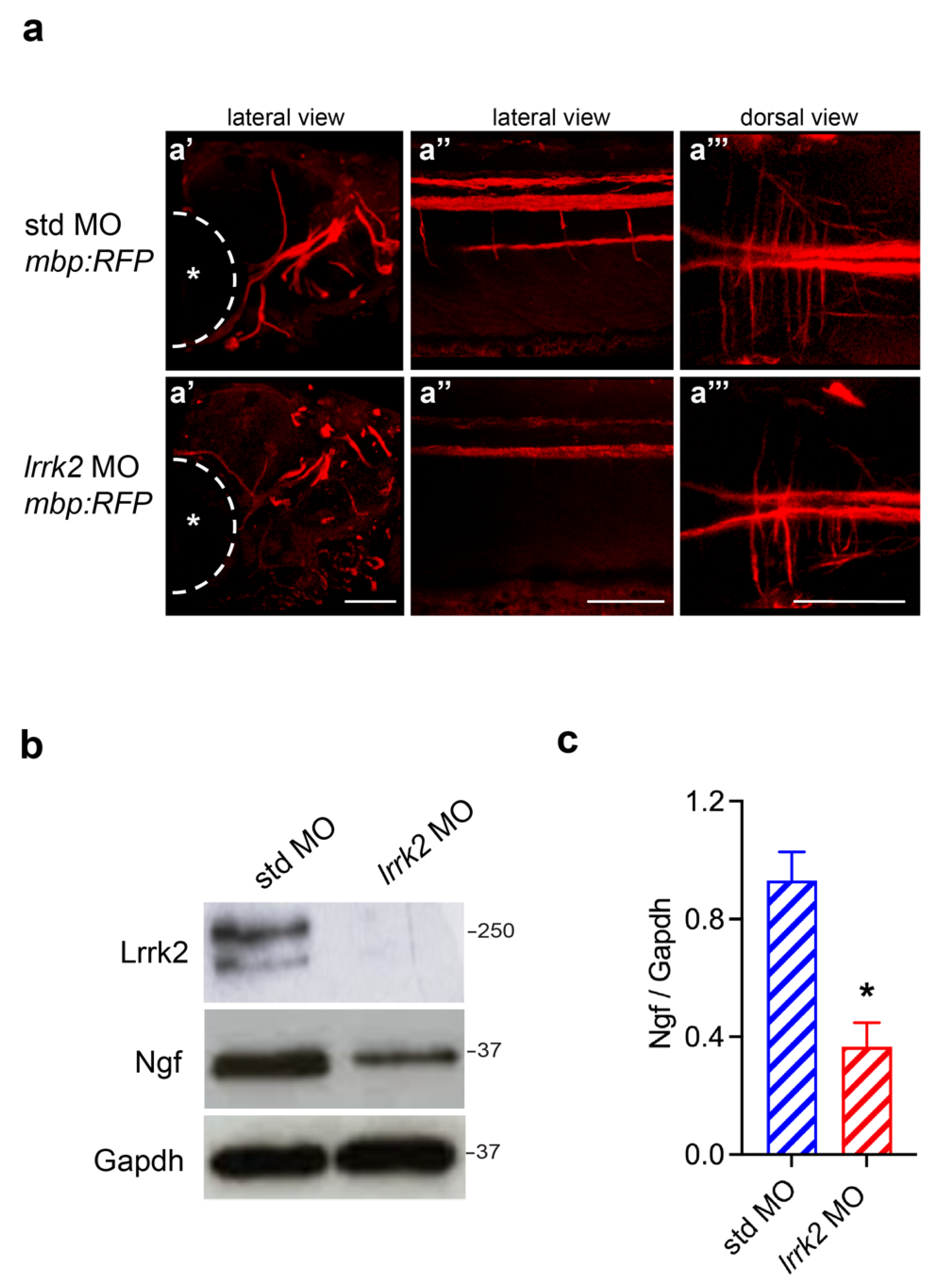 Biomolecules 14 00870 g006