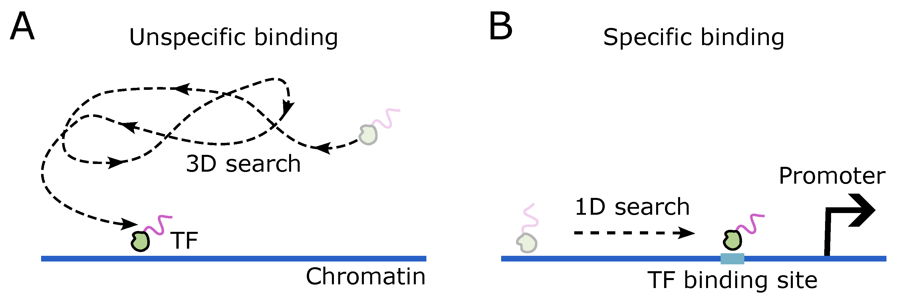 Biomolecules 14 00875 g001