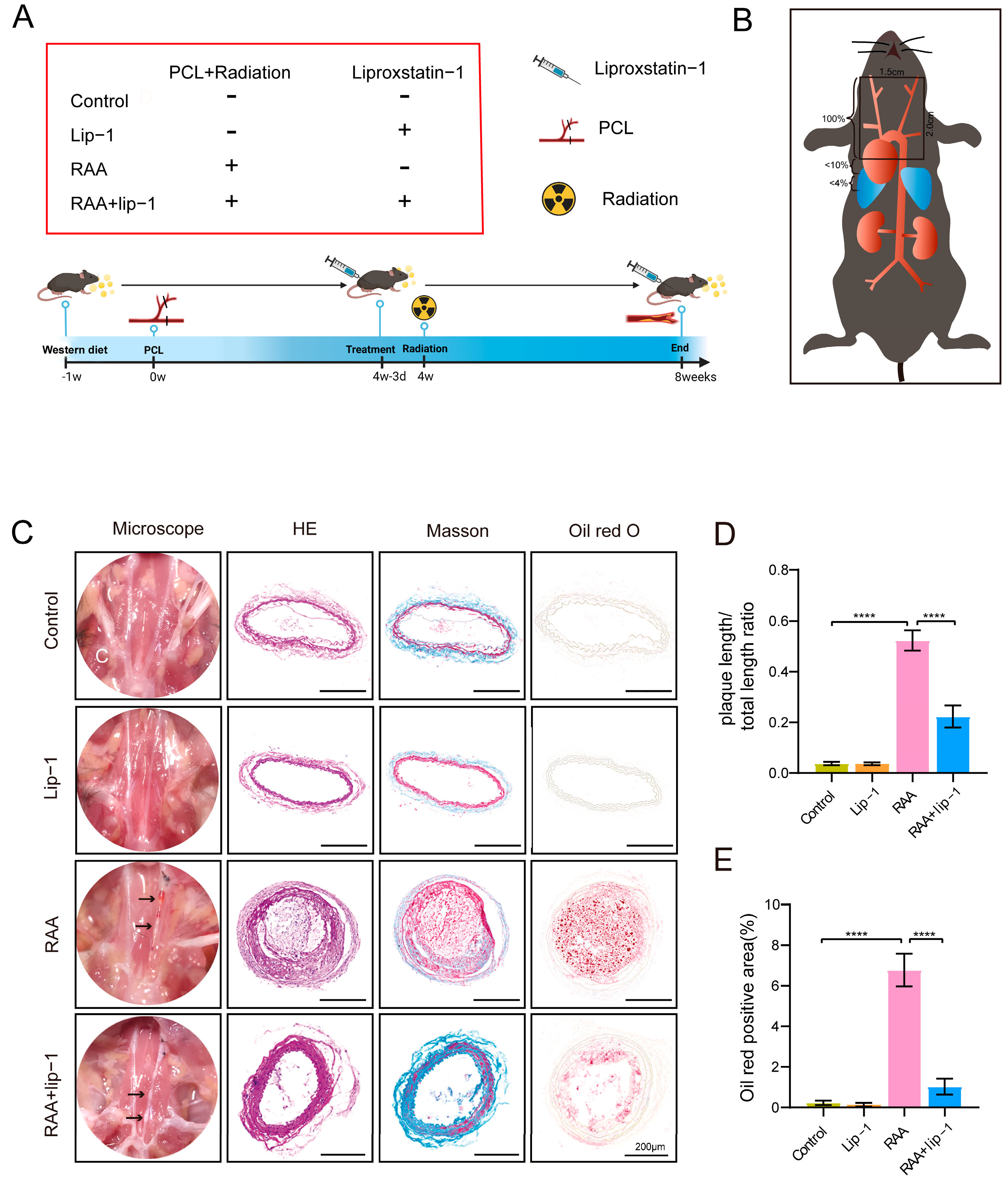 Biomolecules 14 00879 g001