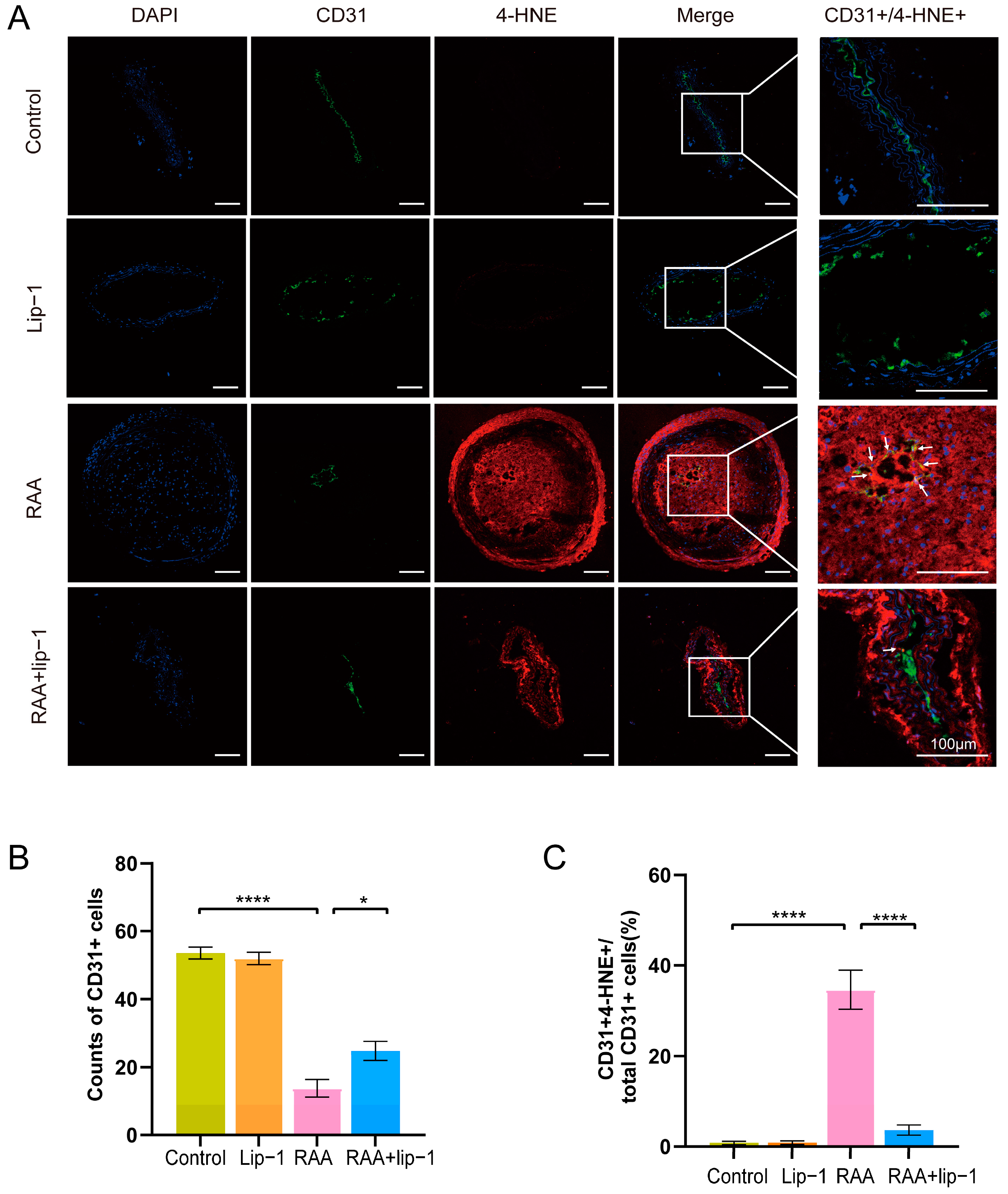 Biomolecules 14 00879 g002