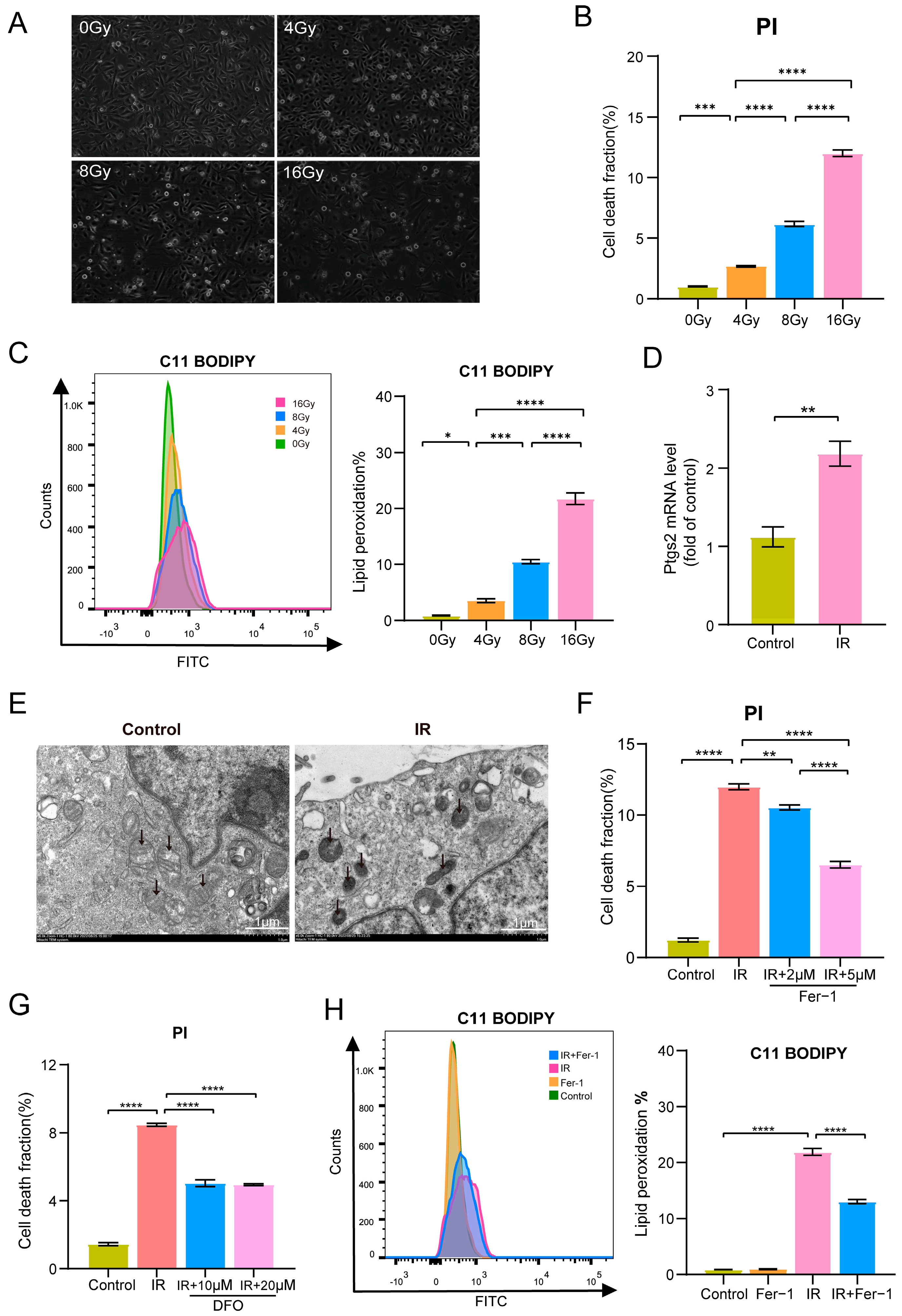 Biomolecules 14 00879 g003