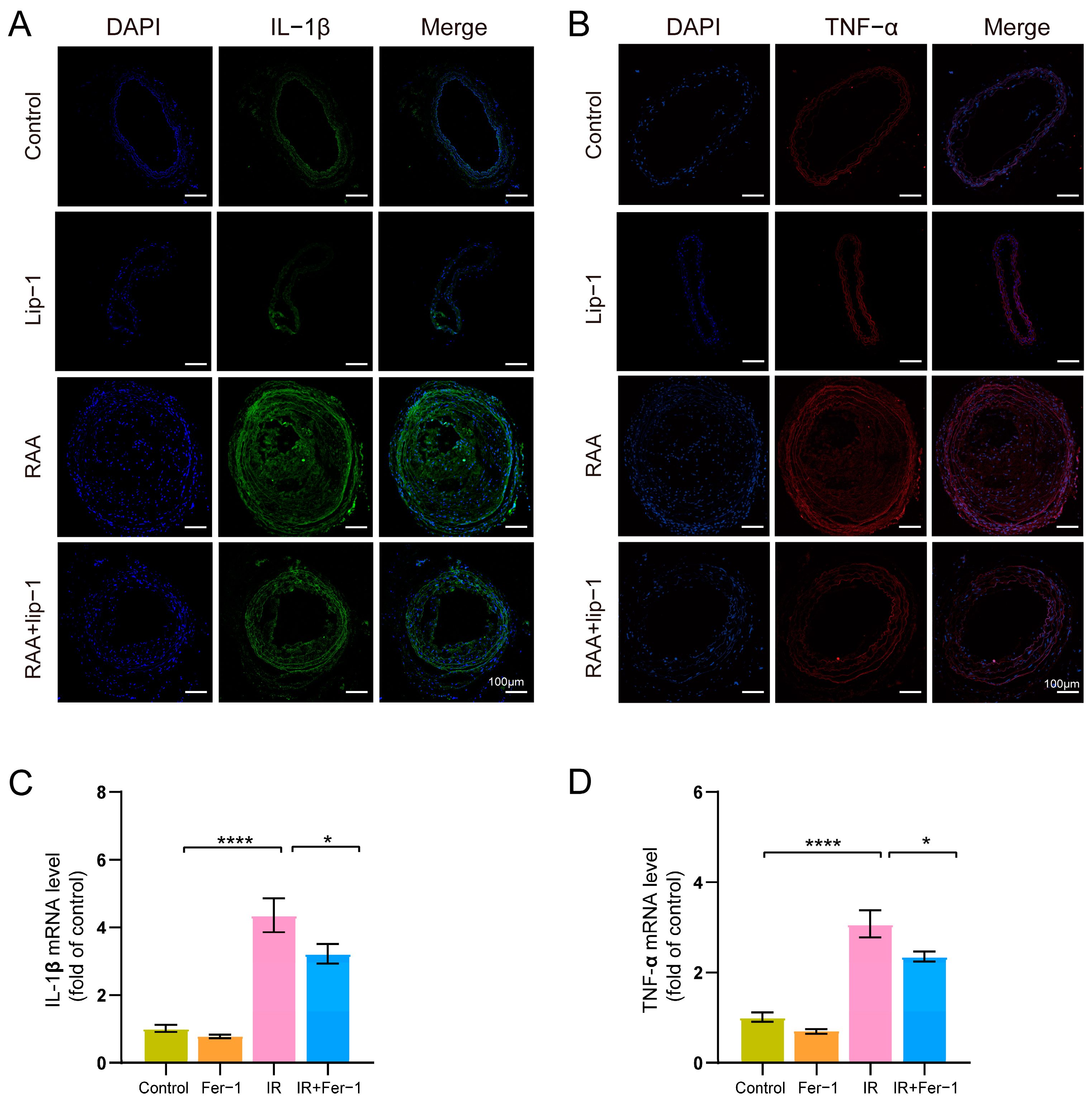 Biomolecules 14 00879 g004