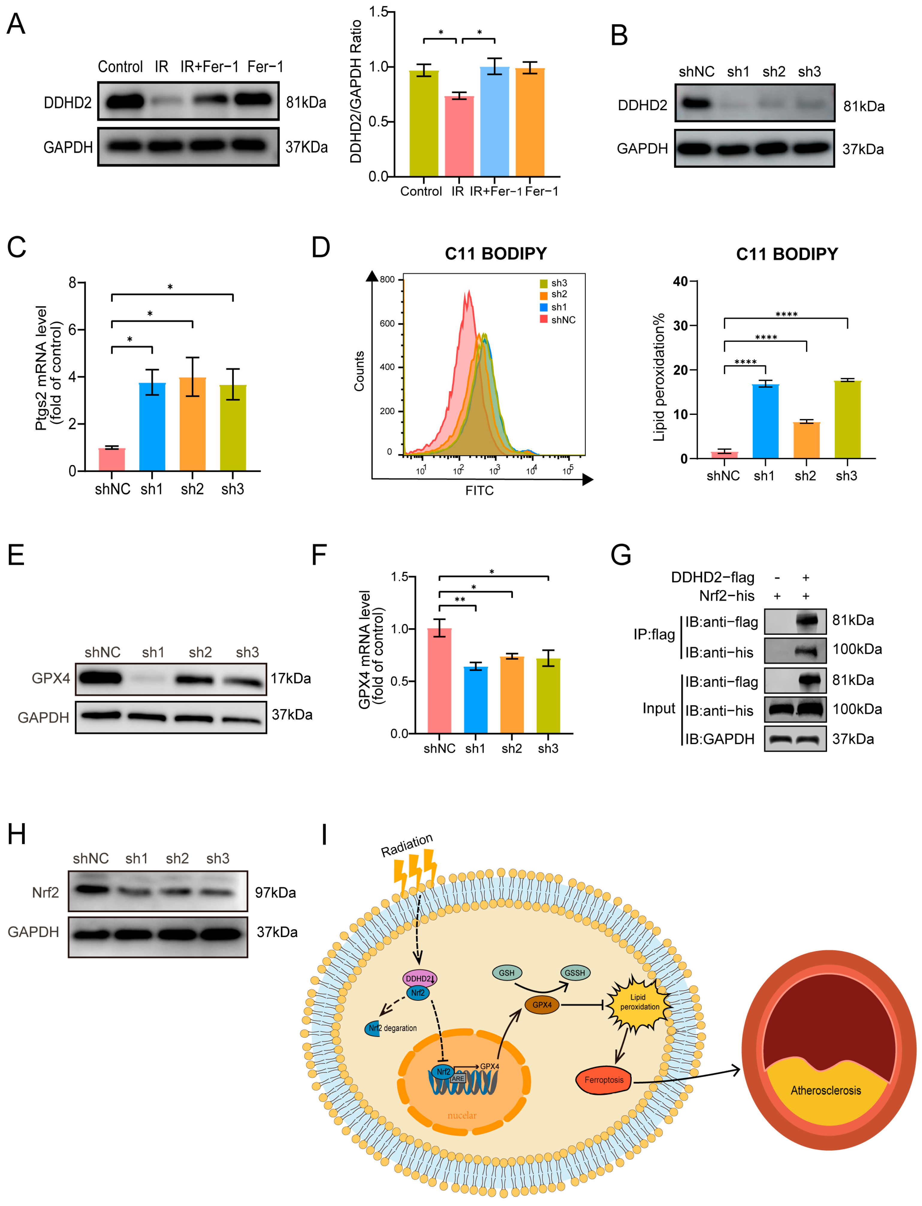 Biomolecules 14 00879 g006