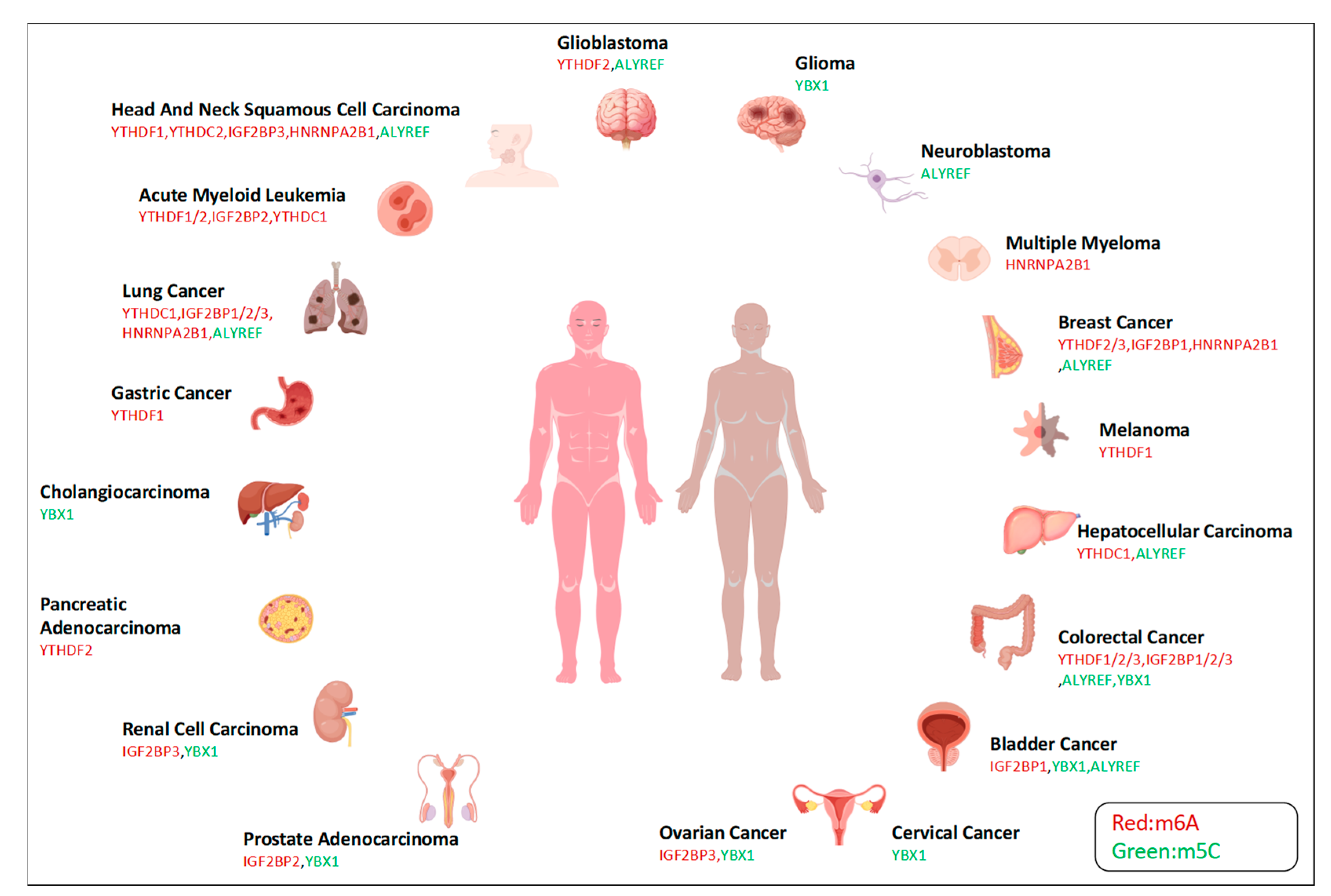 Biomolecules 14 00881 g001