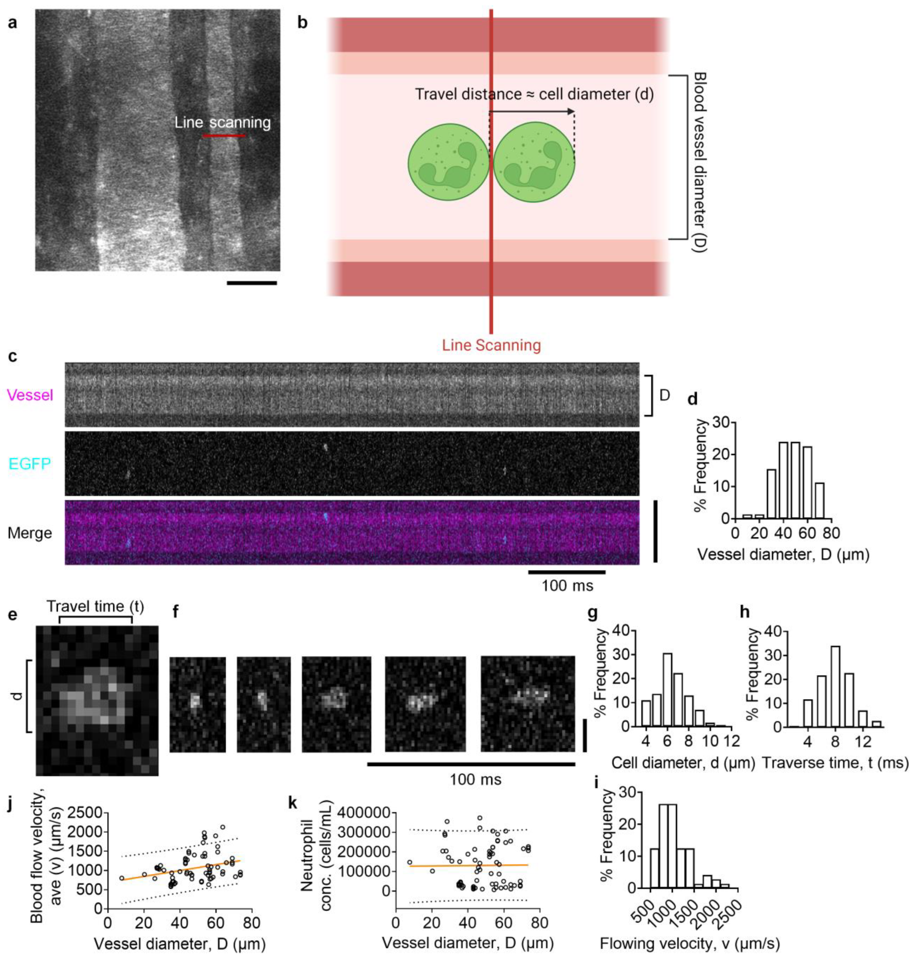 Biomolecules 14 00886 g001 Biomolecules 14 00886 g001