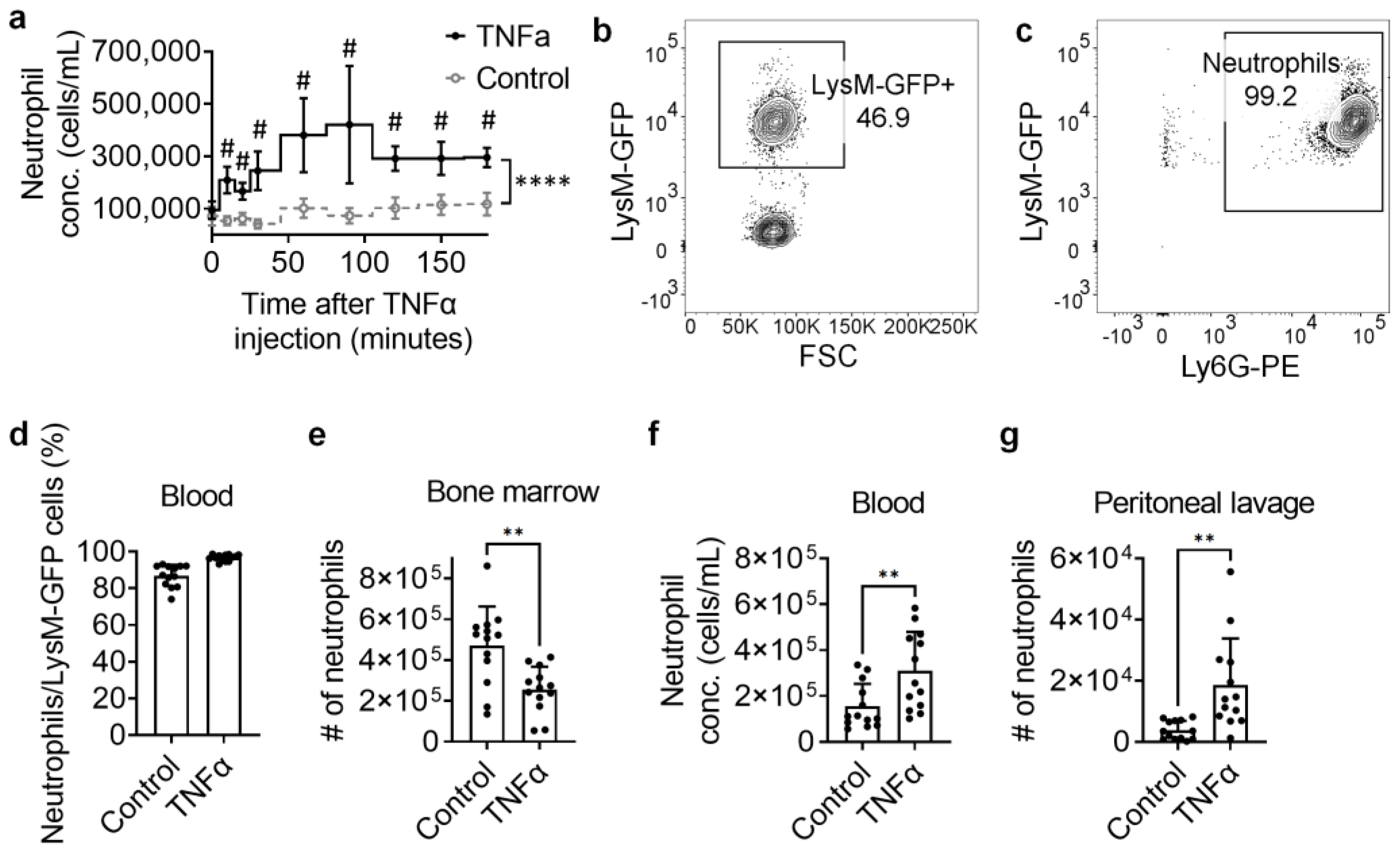 Biomolecules 14 00886 g002 Biomolecules 14 00886 g002