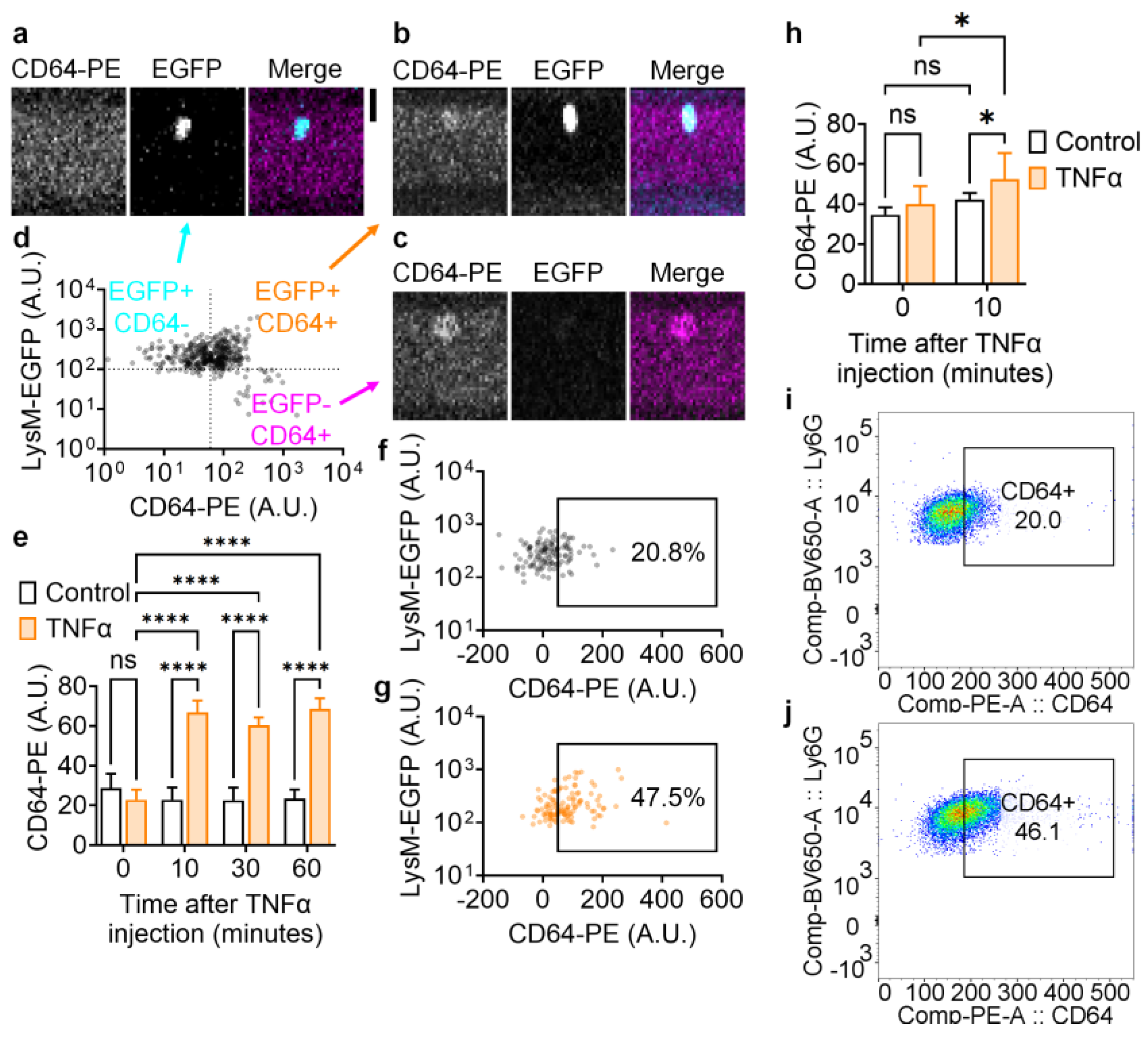 Biomolecules 14 00886 g003 Biomolecules 14 00886 g003