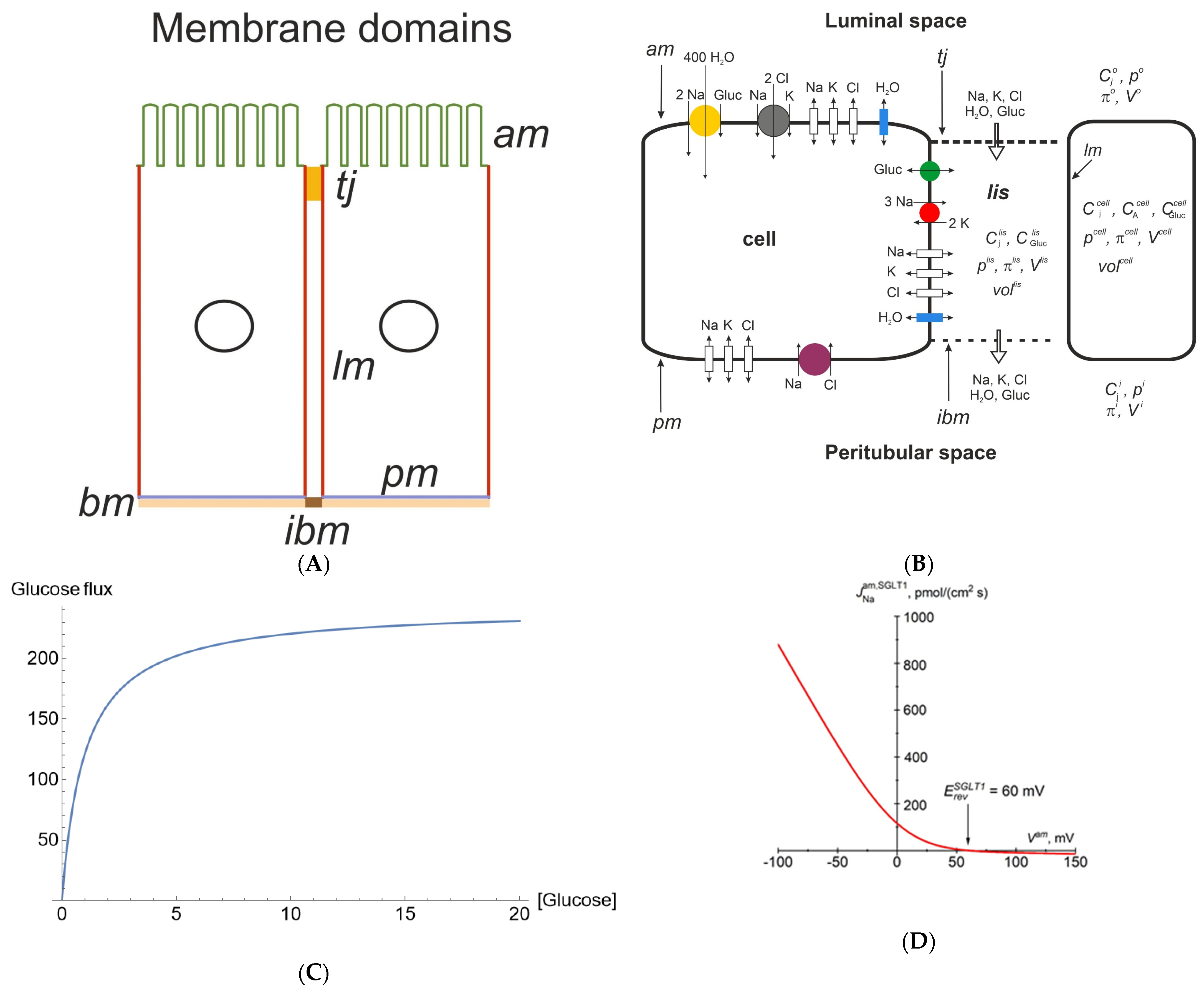 Biomolecules 14 00889 g001